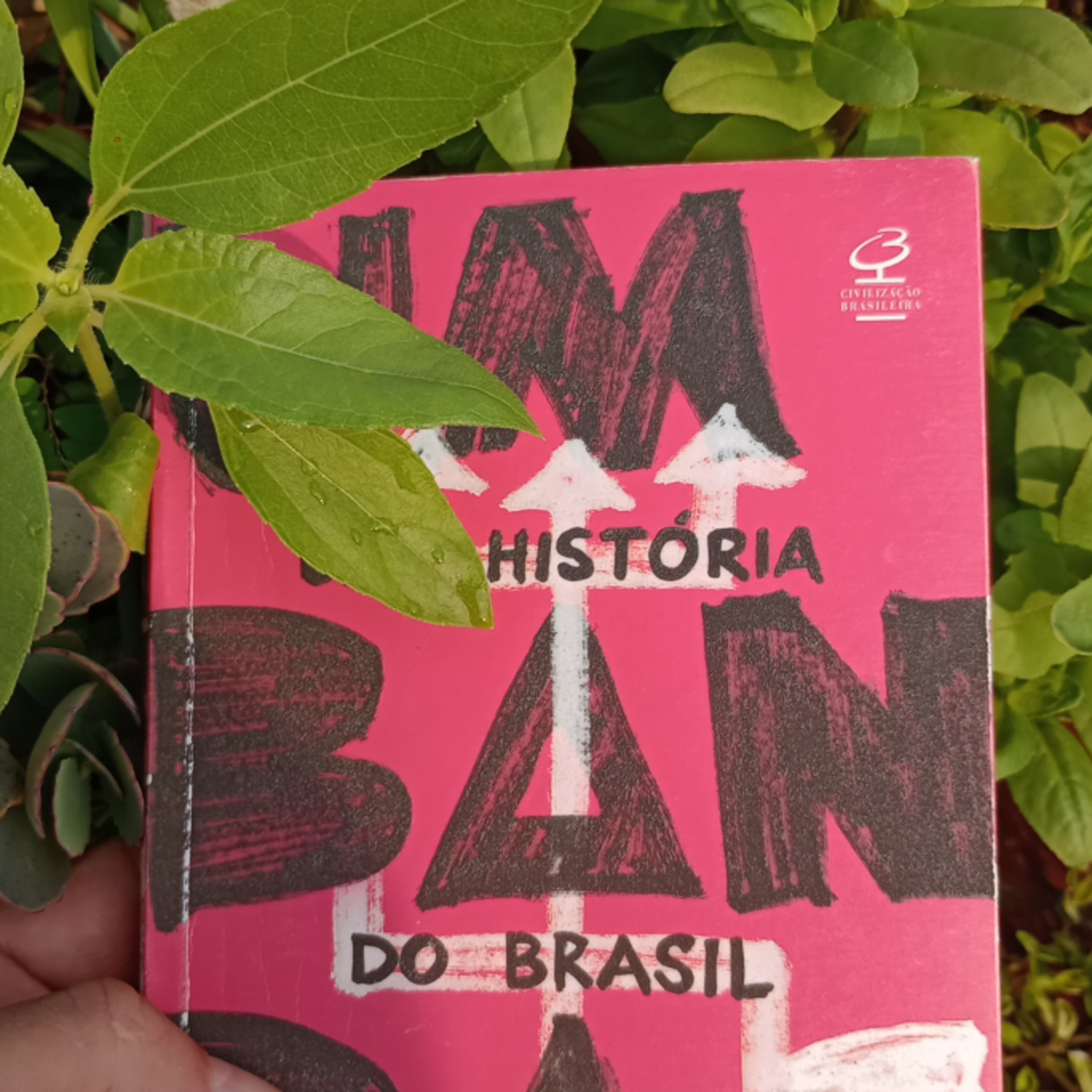 As famílias dos encantados  episode artwork