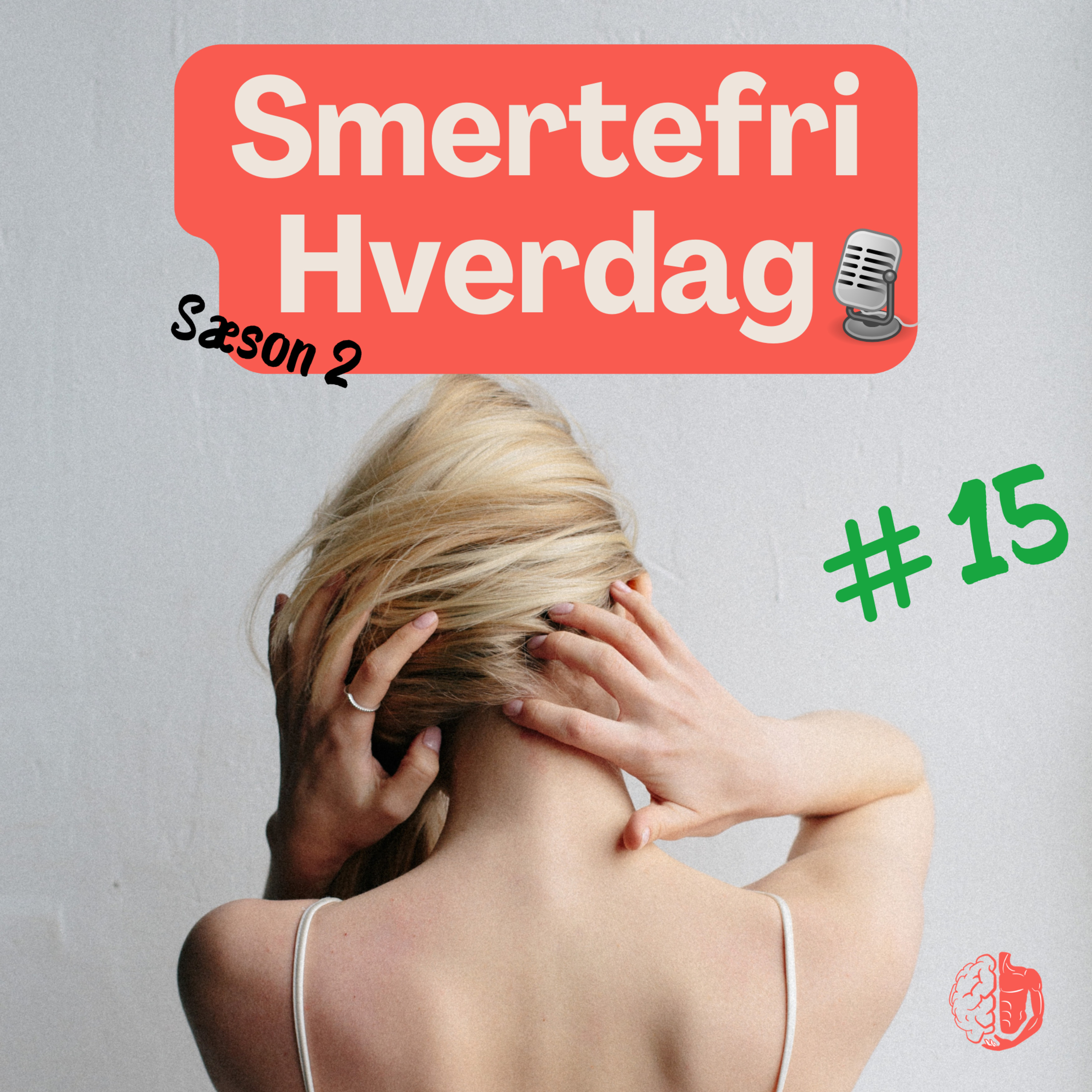 Smertefri hverdag - fysioterapeutens tips og tricks!