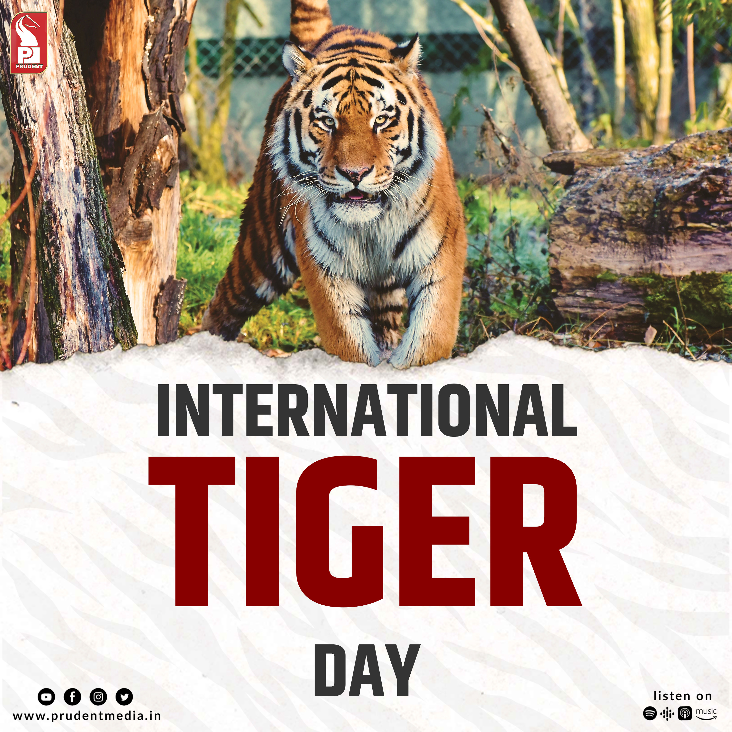Internatinal Tiger Day | 28 July 2023 episode artwork