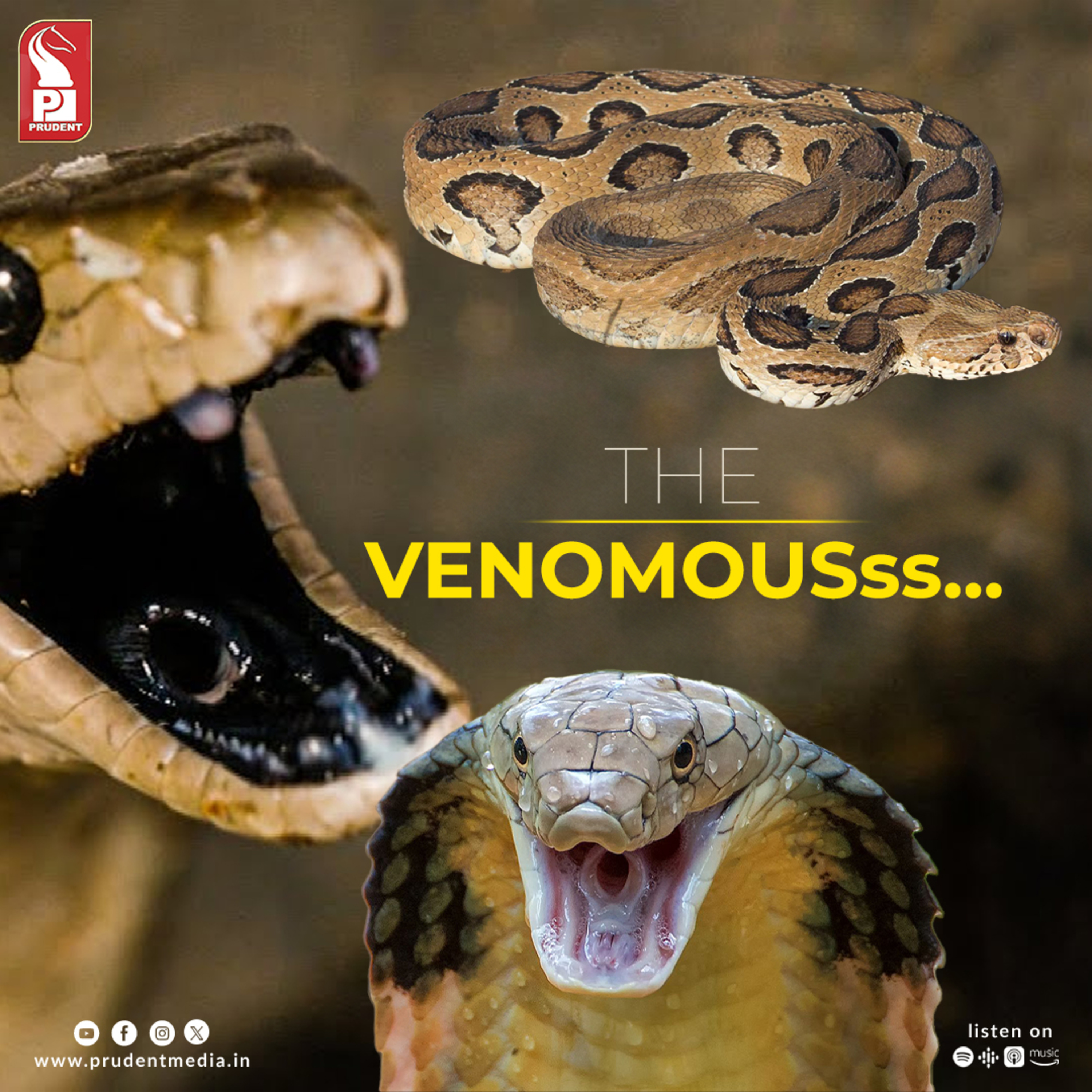 THE VENOMOUS | Nagpanchami Special | Prudent | 090824 episode artwork