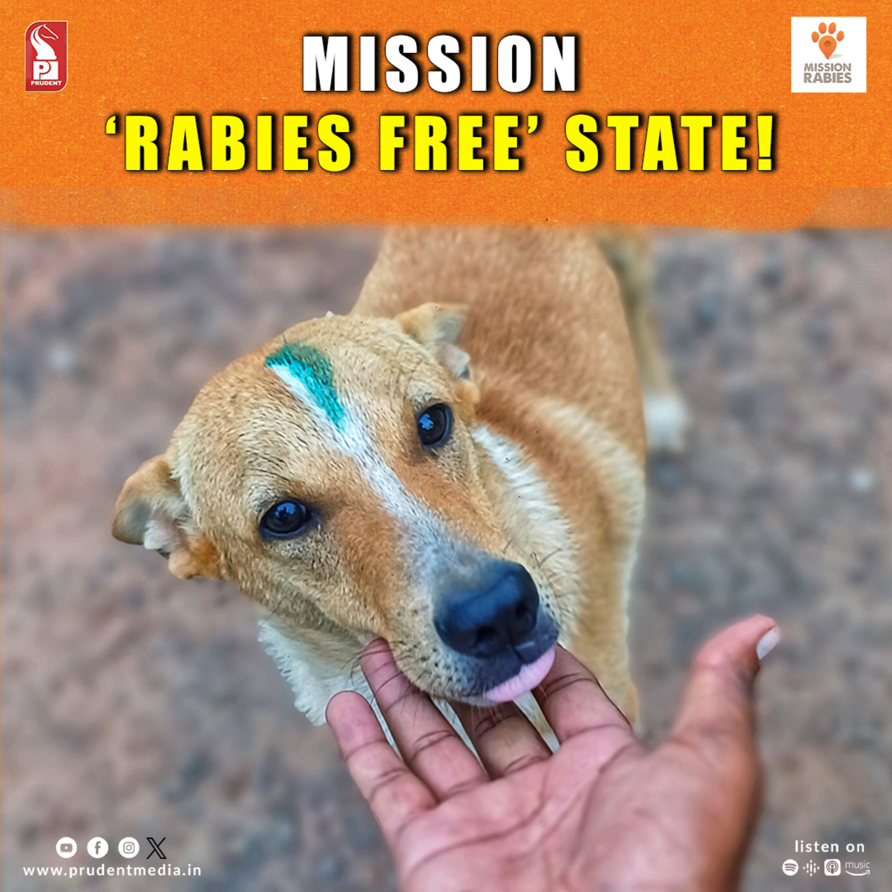  ﻿Mission ‘Rabies free’ state! | #RabiesMuktGoa | Prudent | 131024 episode artwork