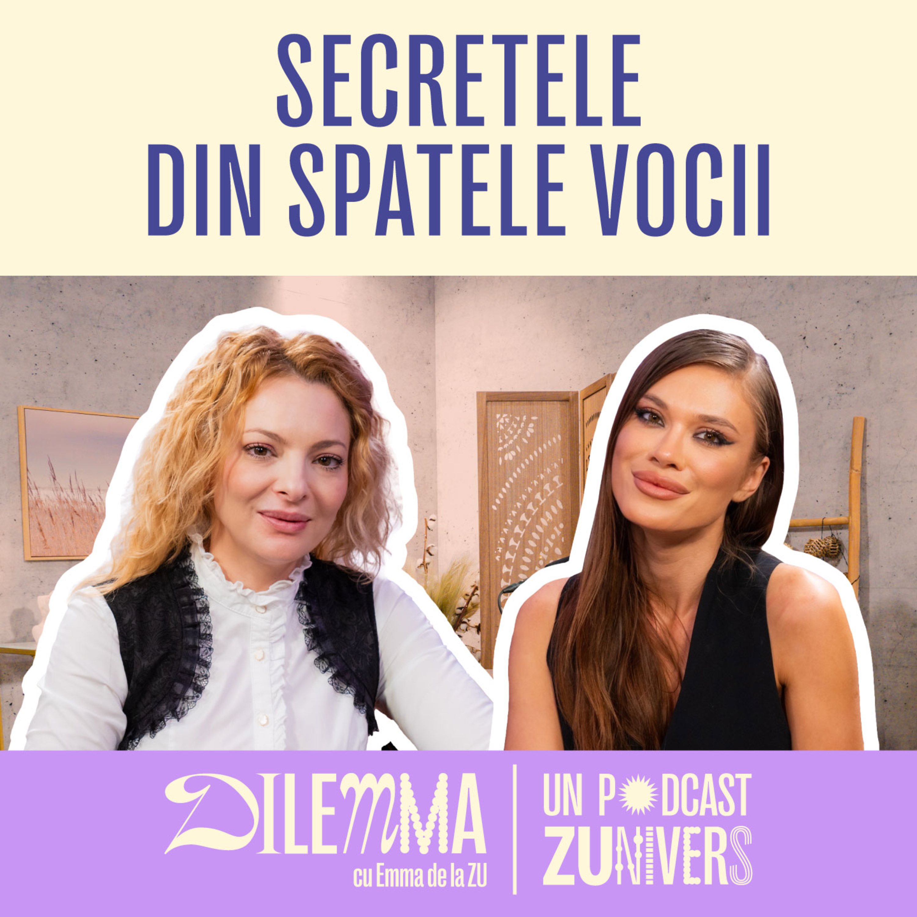TEODORA MEȚIU. GHIDUL RELAȚIILOR. ÎNVAȚĂ SĂ CITEȘTI VOCEA ȘI LIMBAJUL TRUPULUI | DilEMMA 42