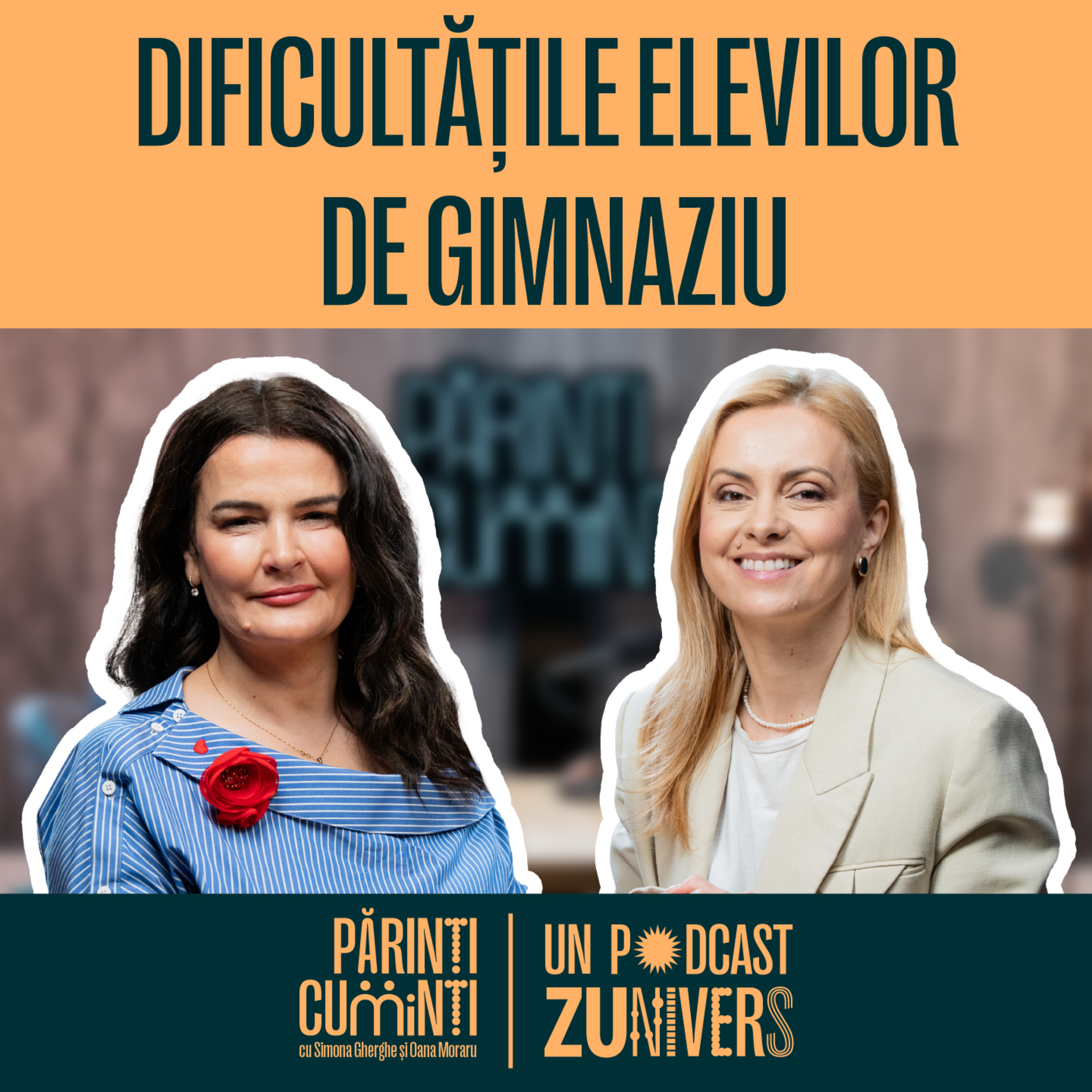 GIMNAZIUL - DE LA ADAPTARE, LA EXAMENUL NAȚIONAL | Părinți CuMinți 60 episode artwork