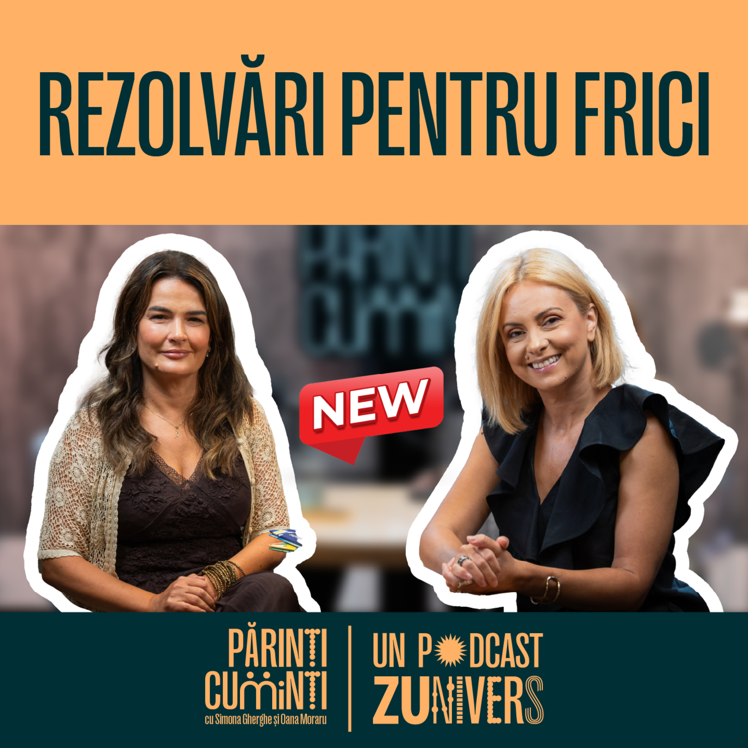 CELE MAI MARI FRICI ALE PĂRINȚILOR | Părinți CuMinți 74