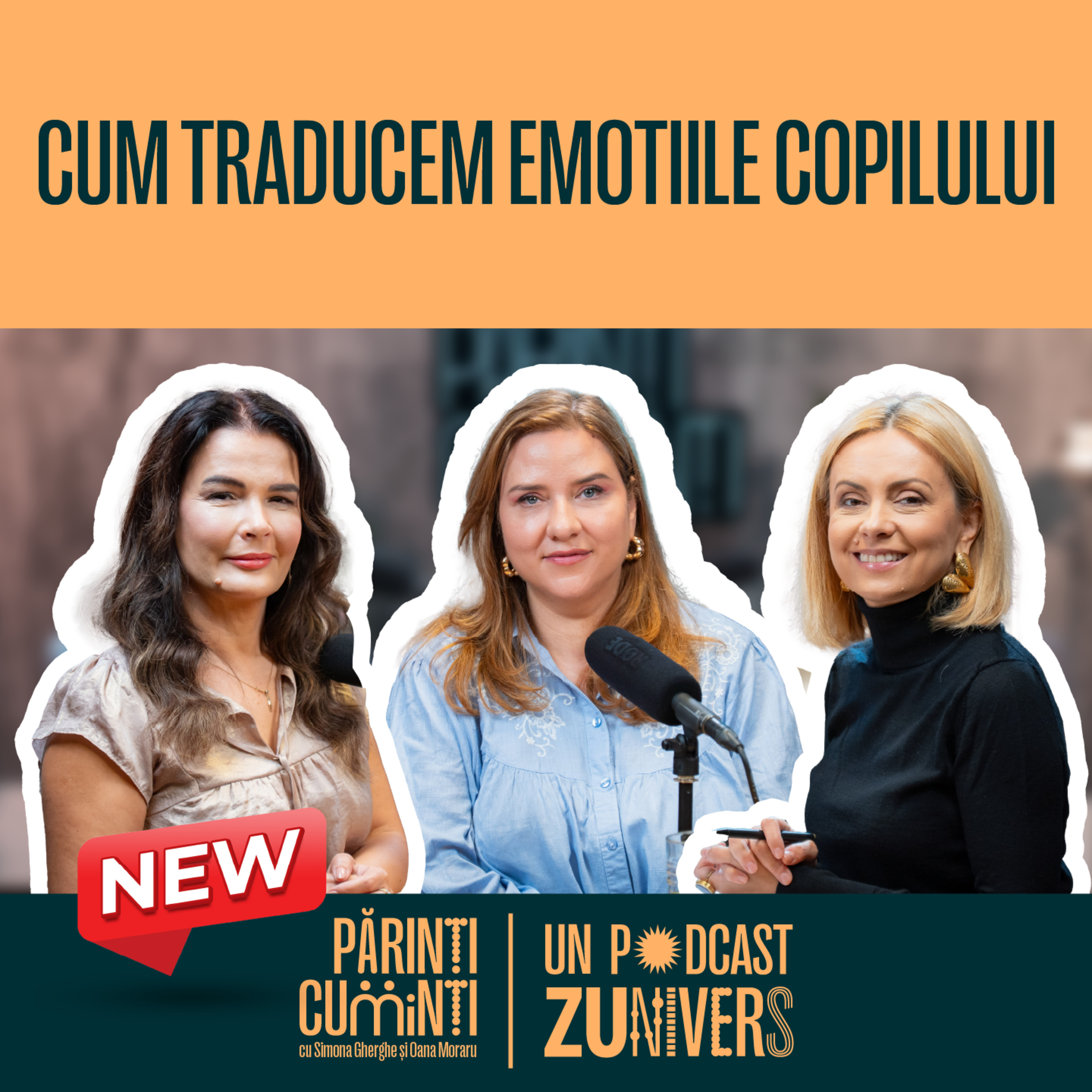 DR. SIMONA HERB: TOTUL DESPRE TERAPIA CENTRATĂ PE EMOȚII | Părinți CuMinți 75