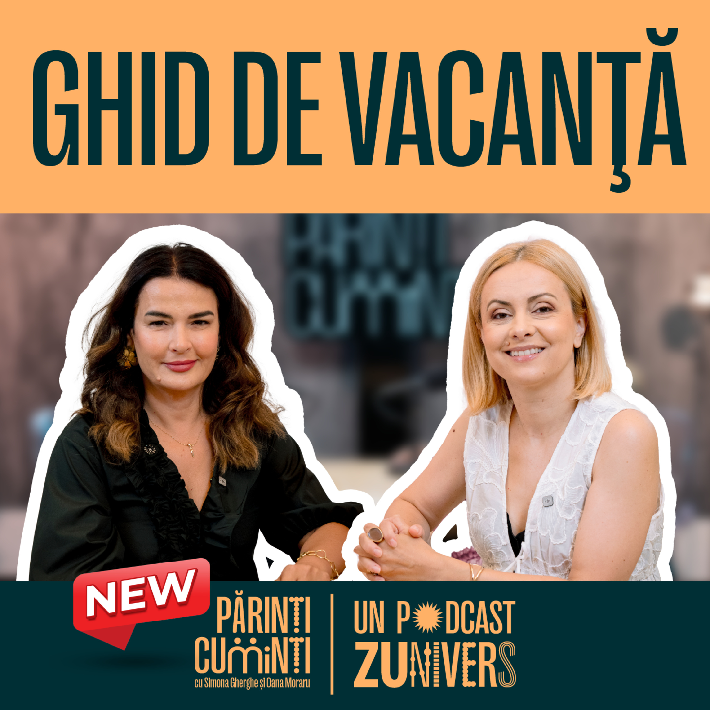 VACANŢA CU COPIII ŞI SIGURANŢA LA DRUM | Părinți CuMinți by ZUnivers 100