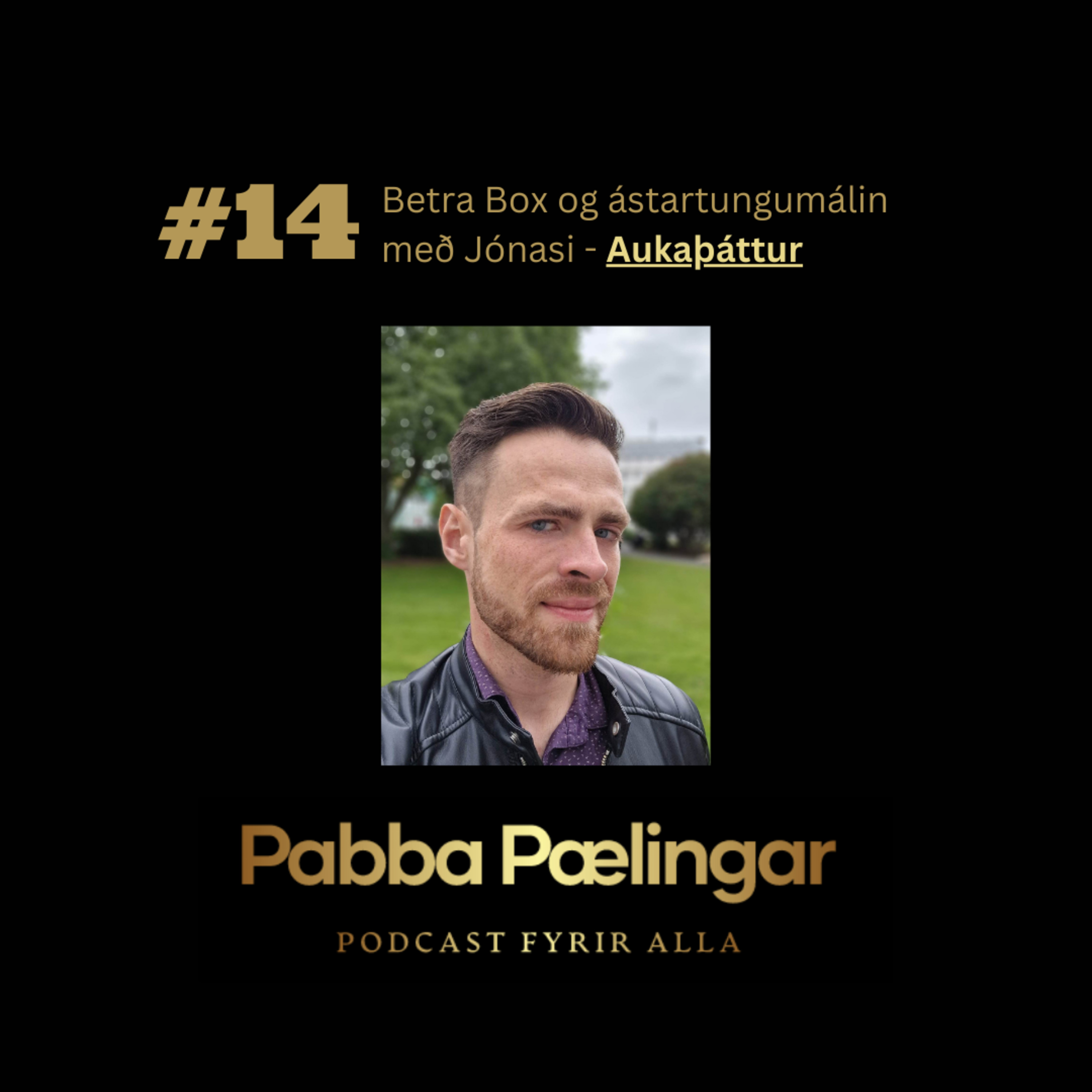 PabbaPælingar