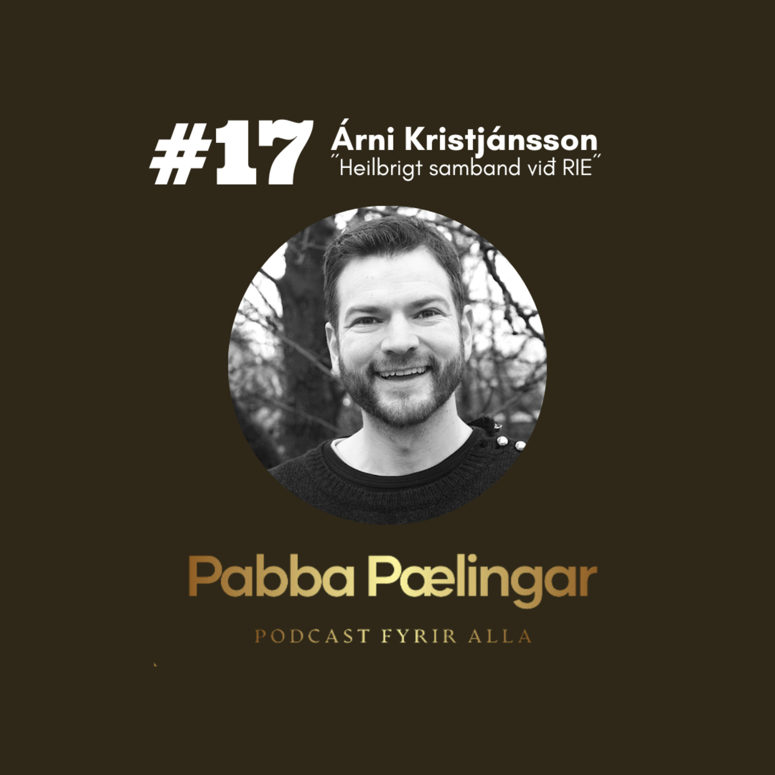 PabbaPælingar