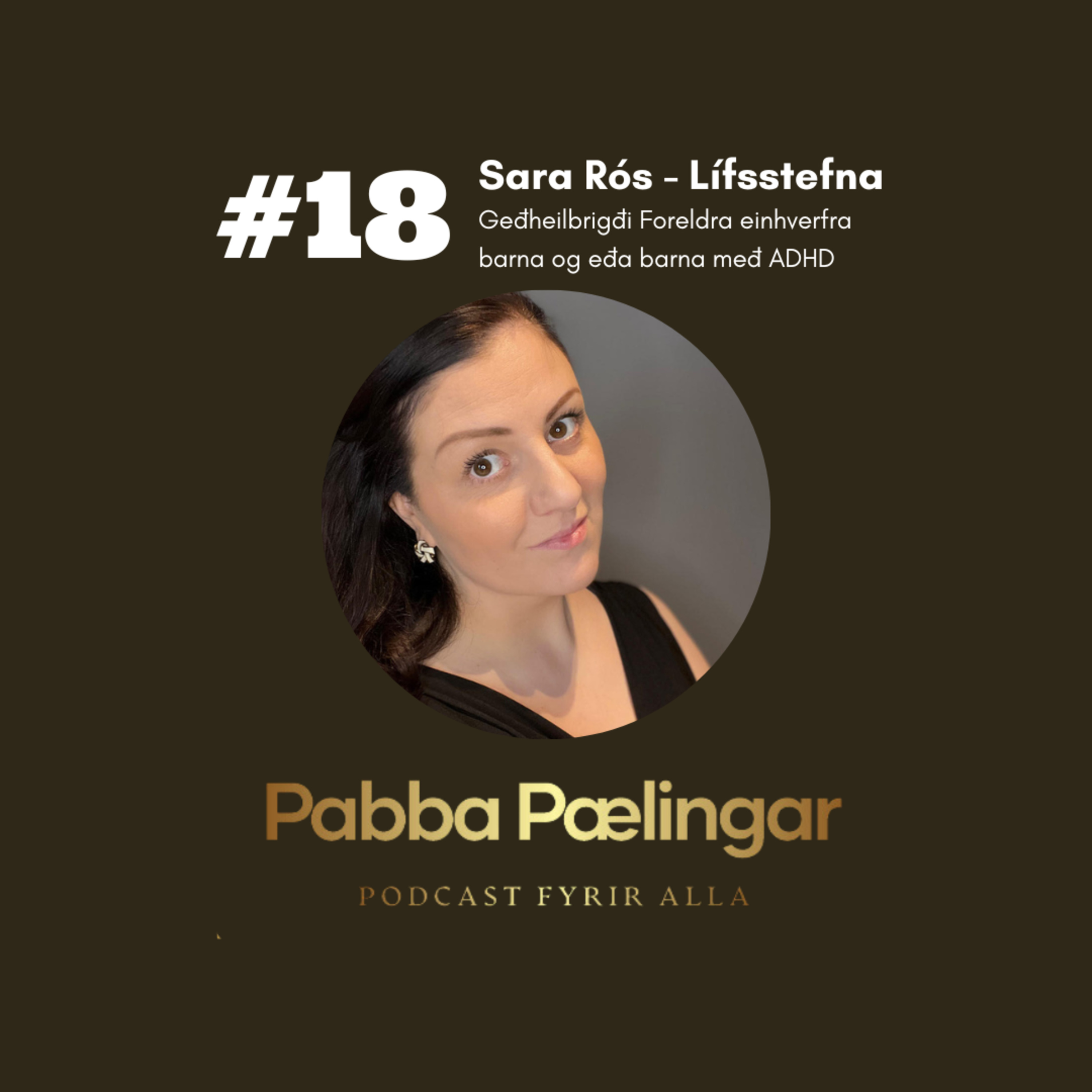 PabbaPælingar