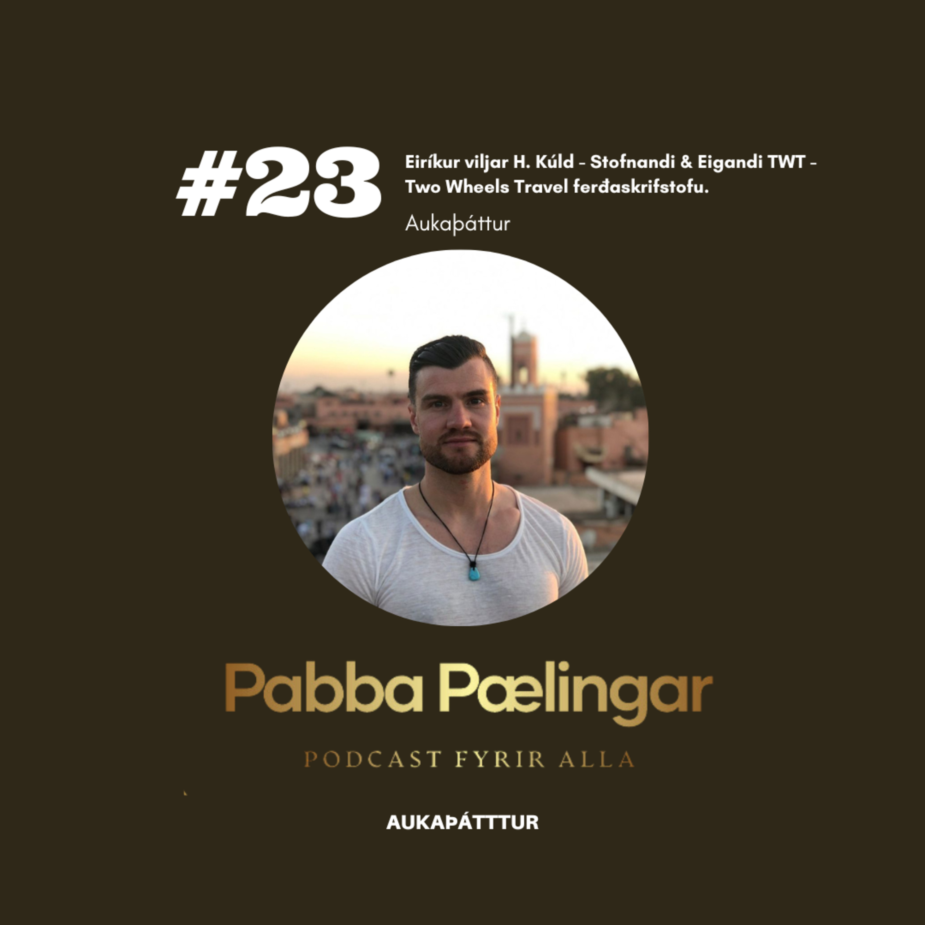 PabbaPælingar