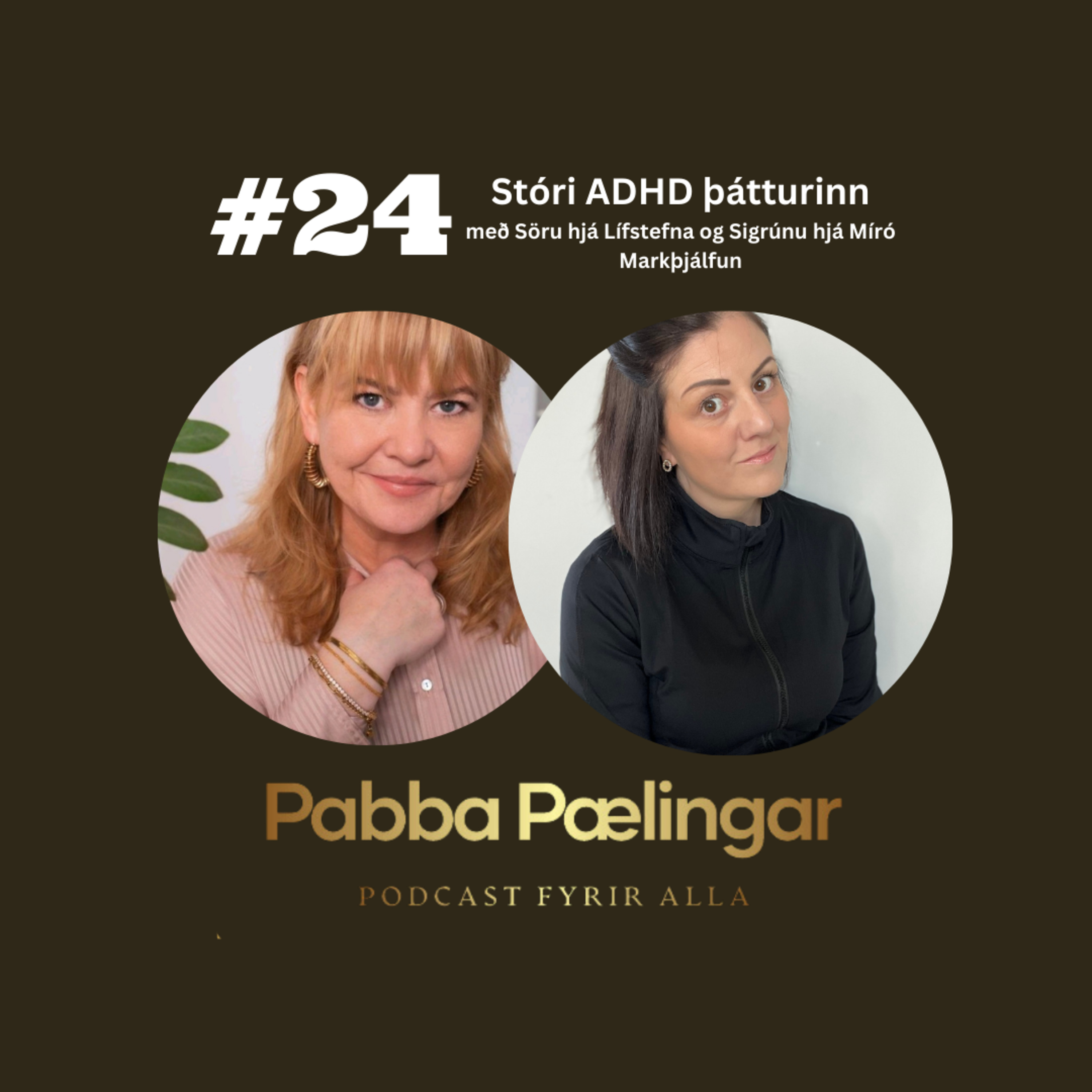 PabbaPælingar