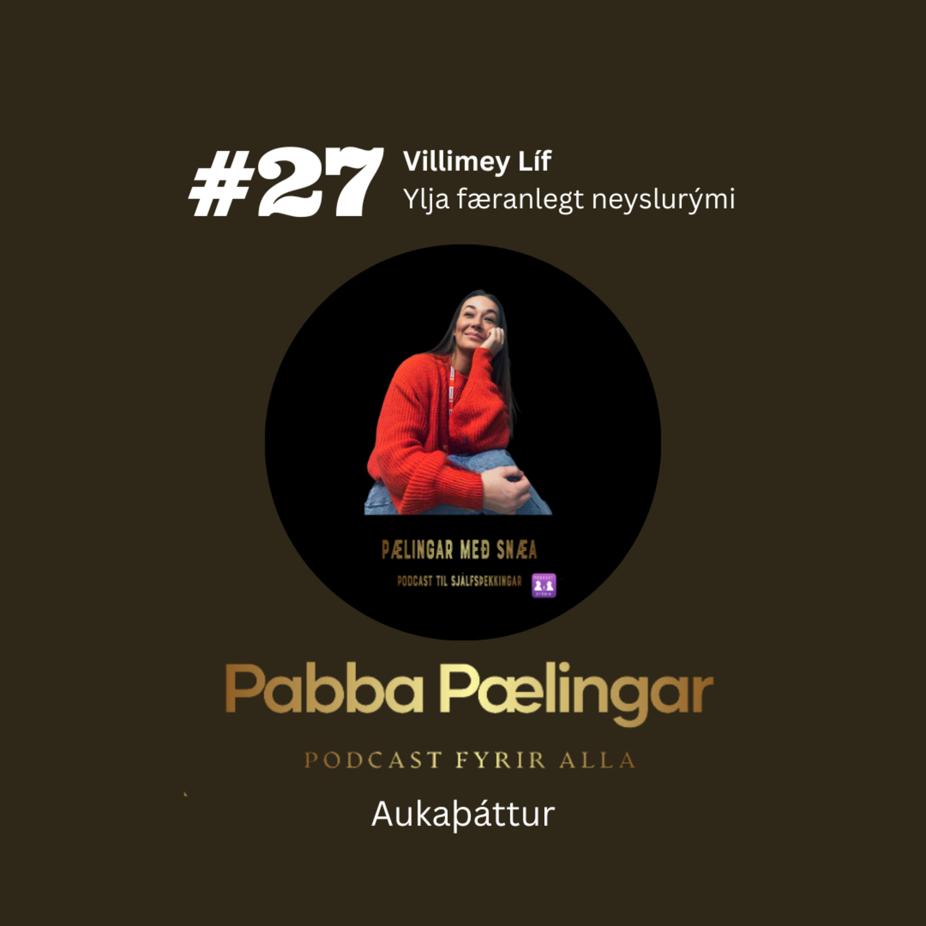 PabbaPælingar
