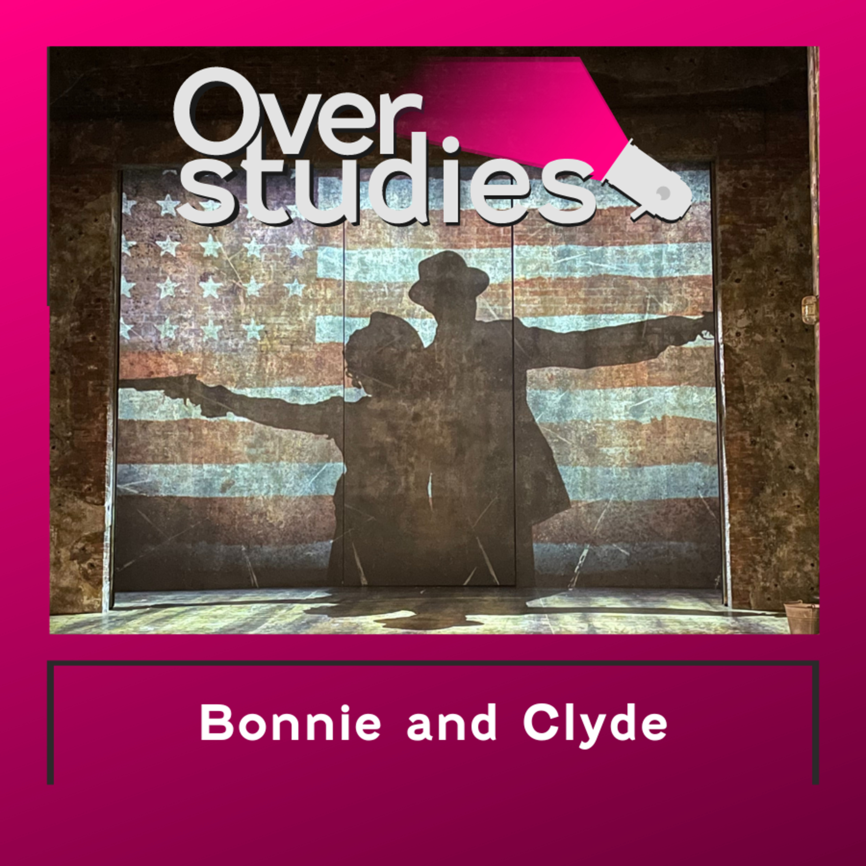 Overstudies