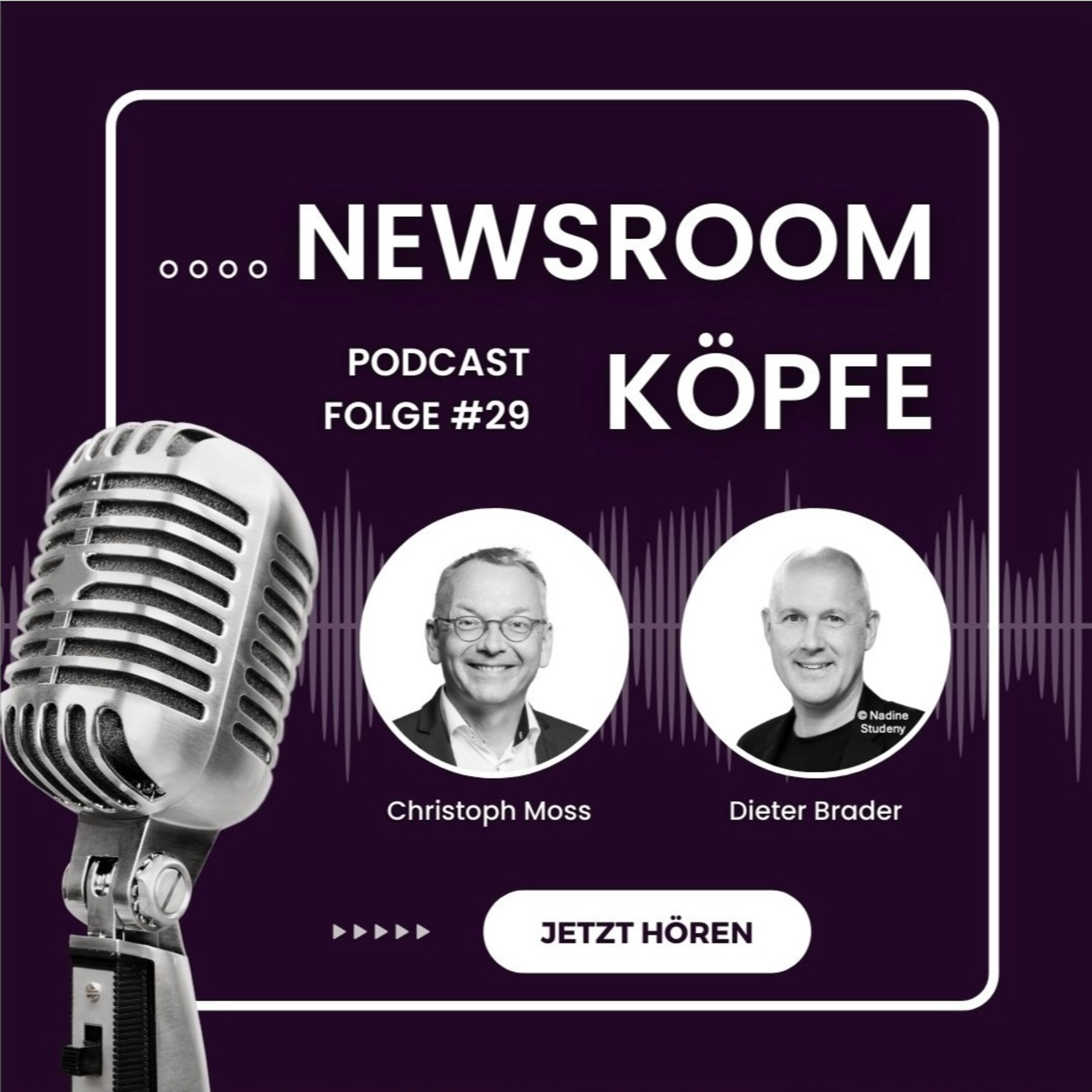 Newsroom-Köpfe #29 mit Dieter Brader, Wirtschaftskammer Österreich: Der virtuelle Newsroom episode artwork