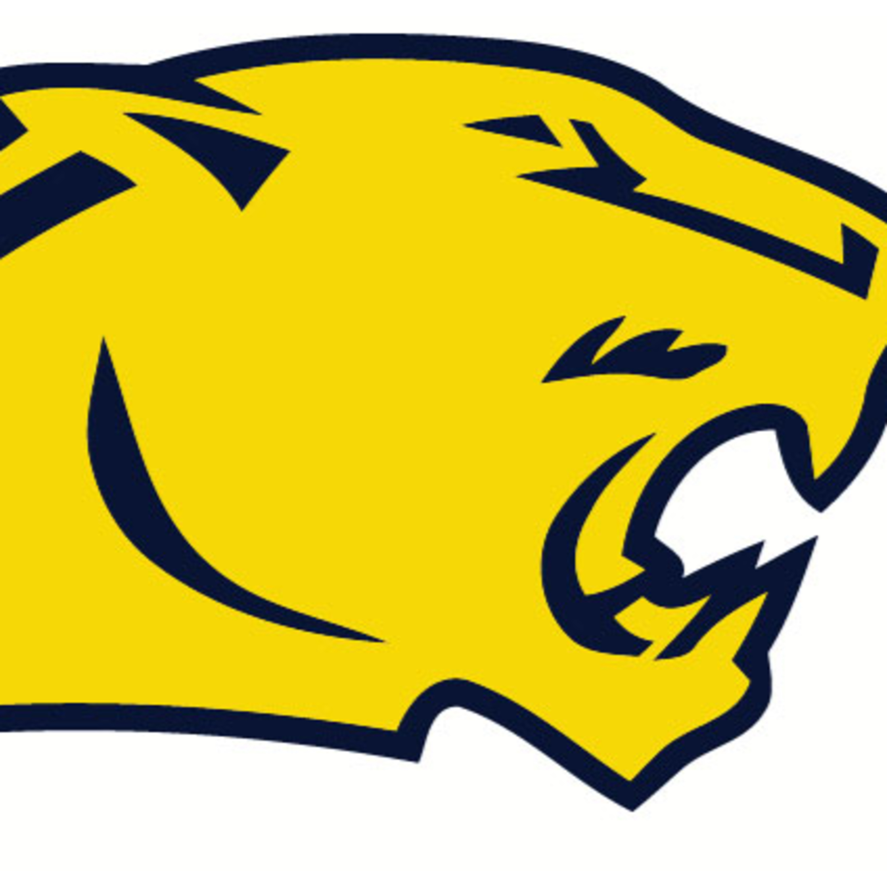 2024 Cascade Cougar Football Season Preview episode artwork