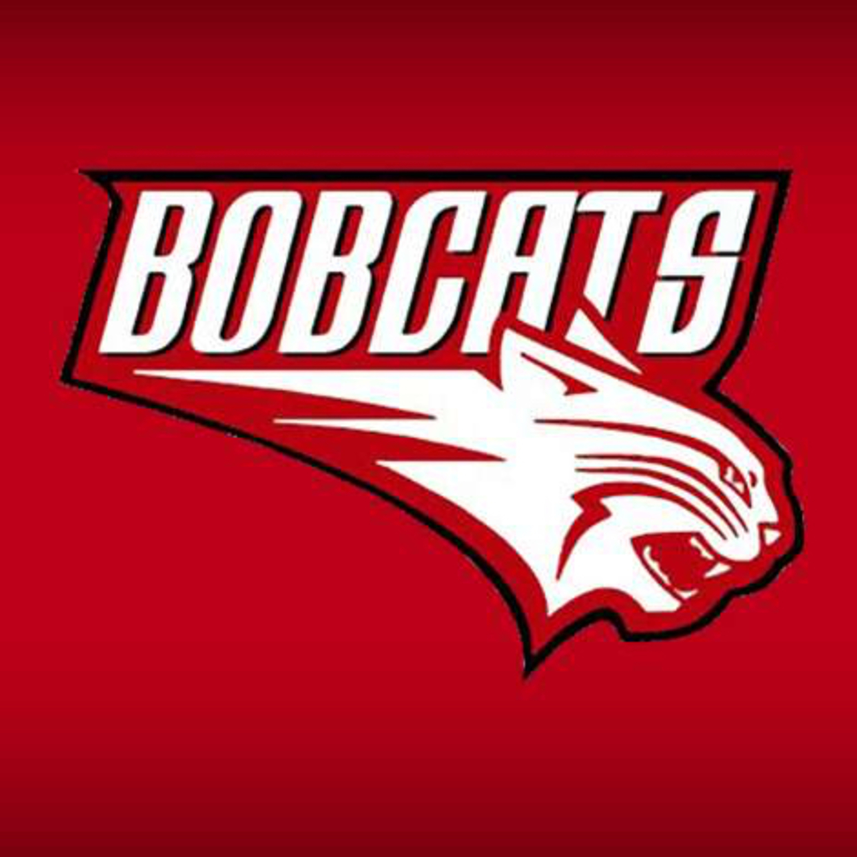 Dubuque Area Sports Podcast