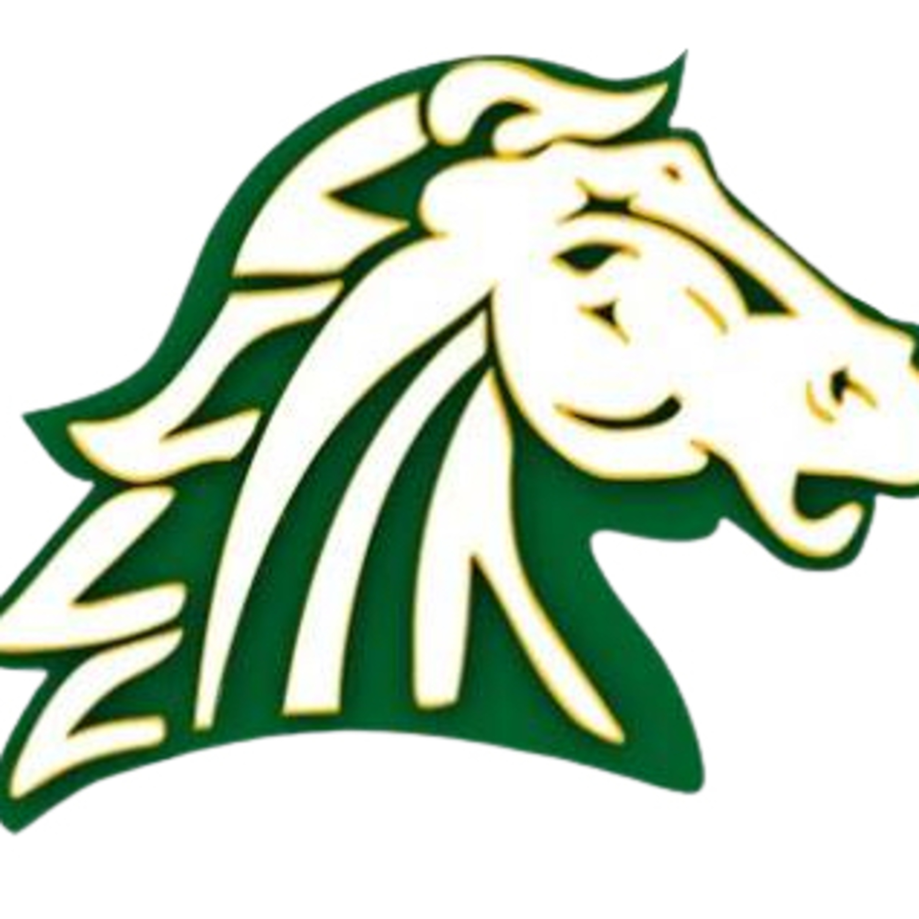 A New Era for Hempstead Softball: Coach Brandel’s Vision for 2025 episode artwork