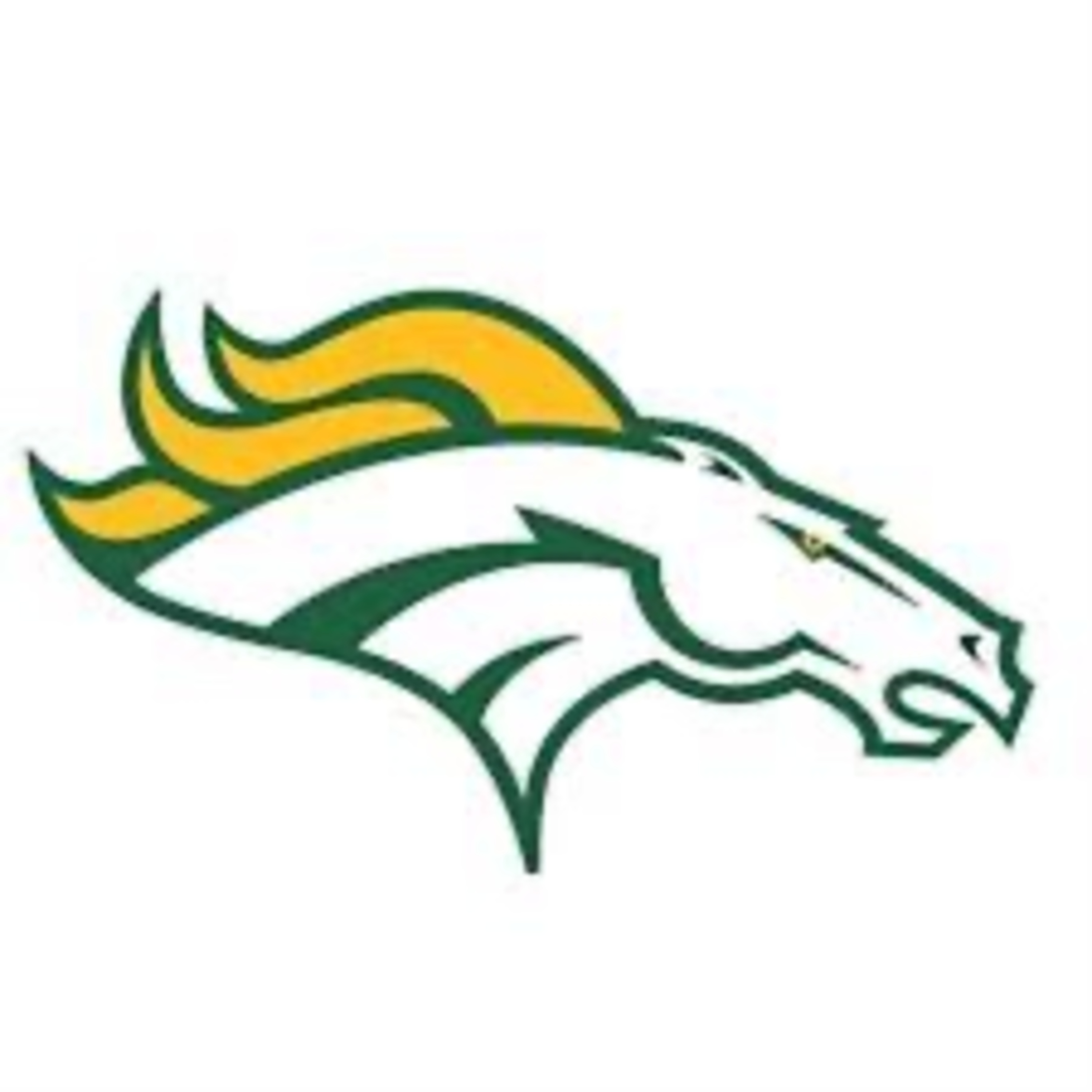 Hempstead Mustangs Boys Basketball: Year 2 with Coach George episode artwork