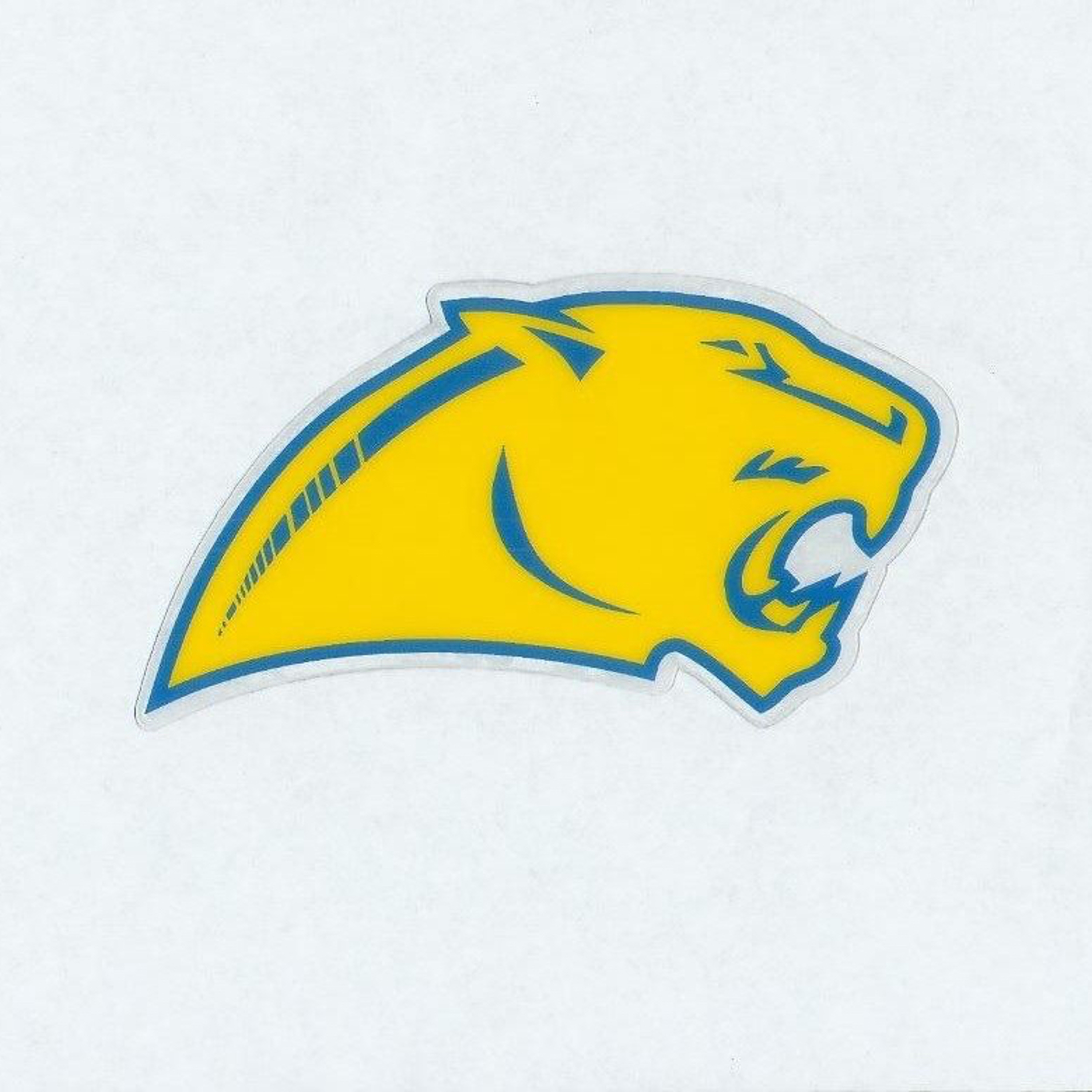 Cascade Cougars Basketball: Reloading for Another Run with Coach McMullen episode artwork
