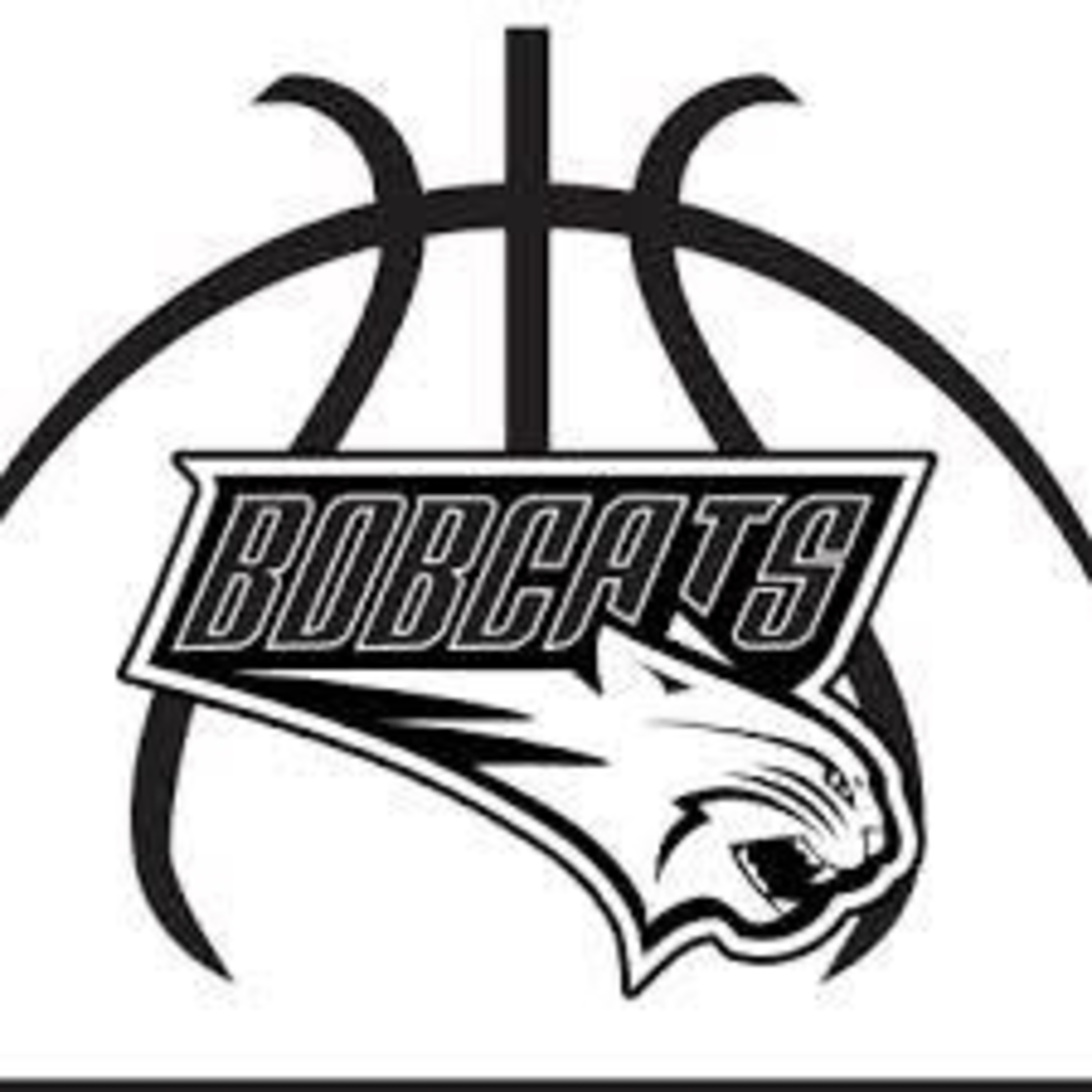 Western Dubuque Bobcats Girls Basketball: Building the Foundation with Coach Hoefer episode artwork