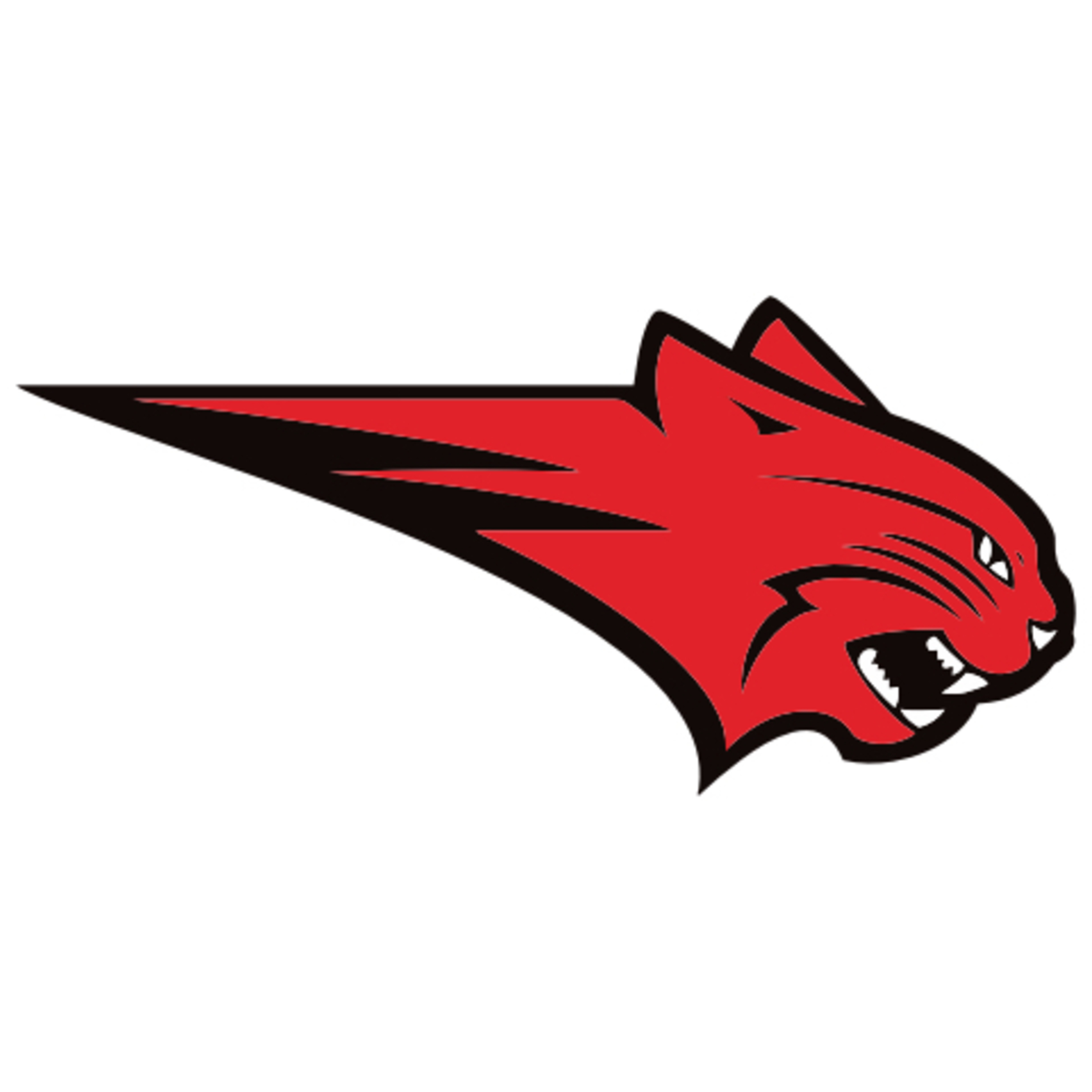Dubuque Area Sports Podcast