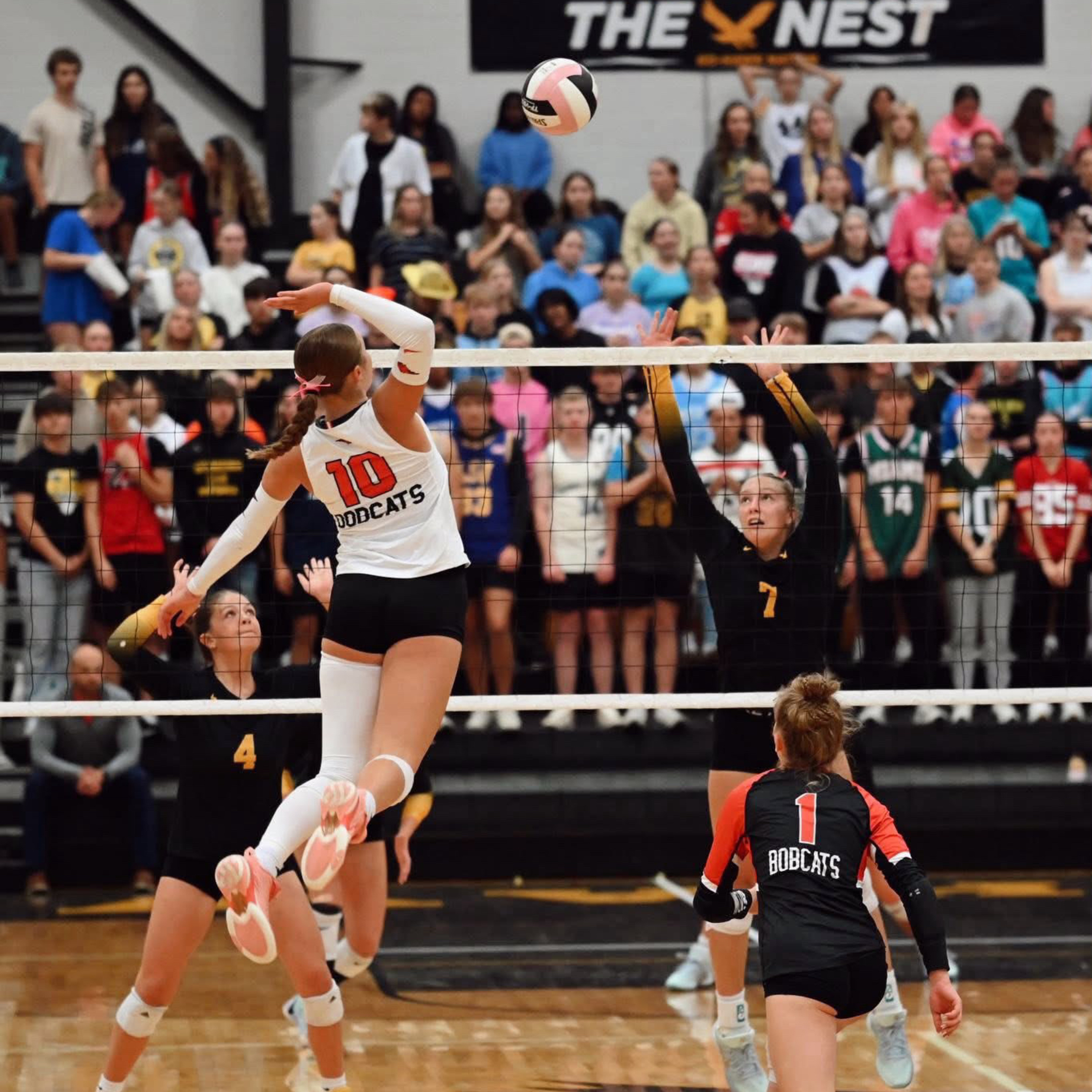 Two-Sport Star: Kyla Ramler Talks Western Dubuque Volleyball, Softball & Her Future at Illinois State episode artwork