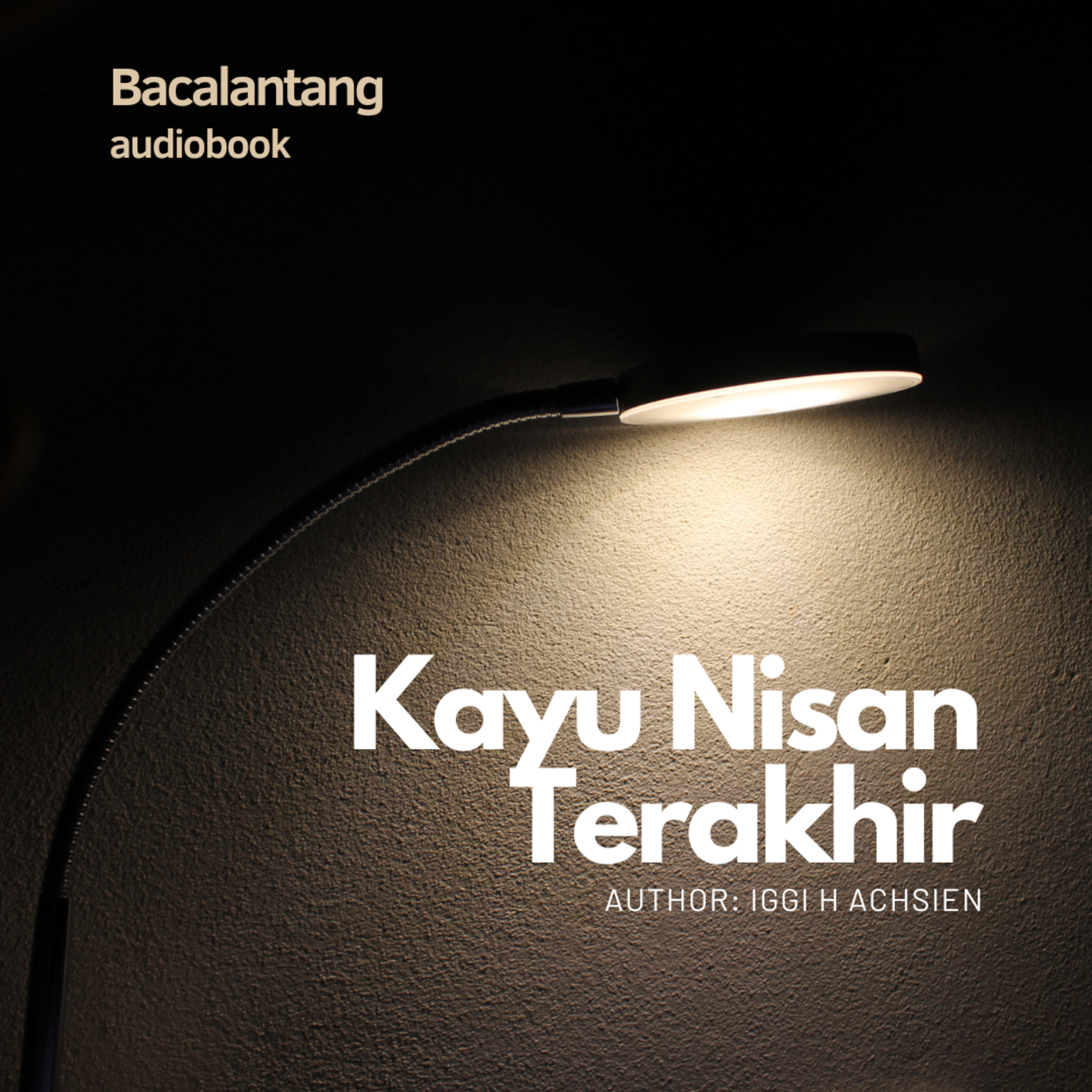 Cerita Pendek #4 :Kayu Nisan Terakhir - Iggi H Achsien | Audiobook Indonesia episode artwork