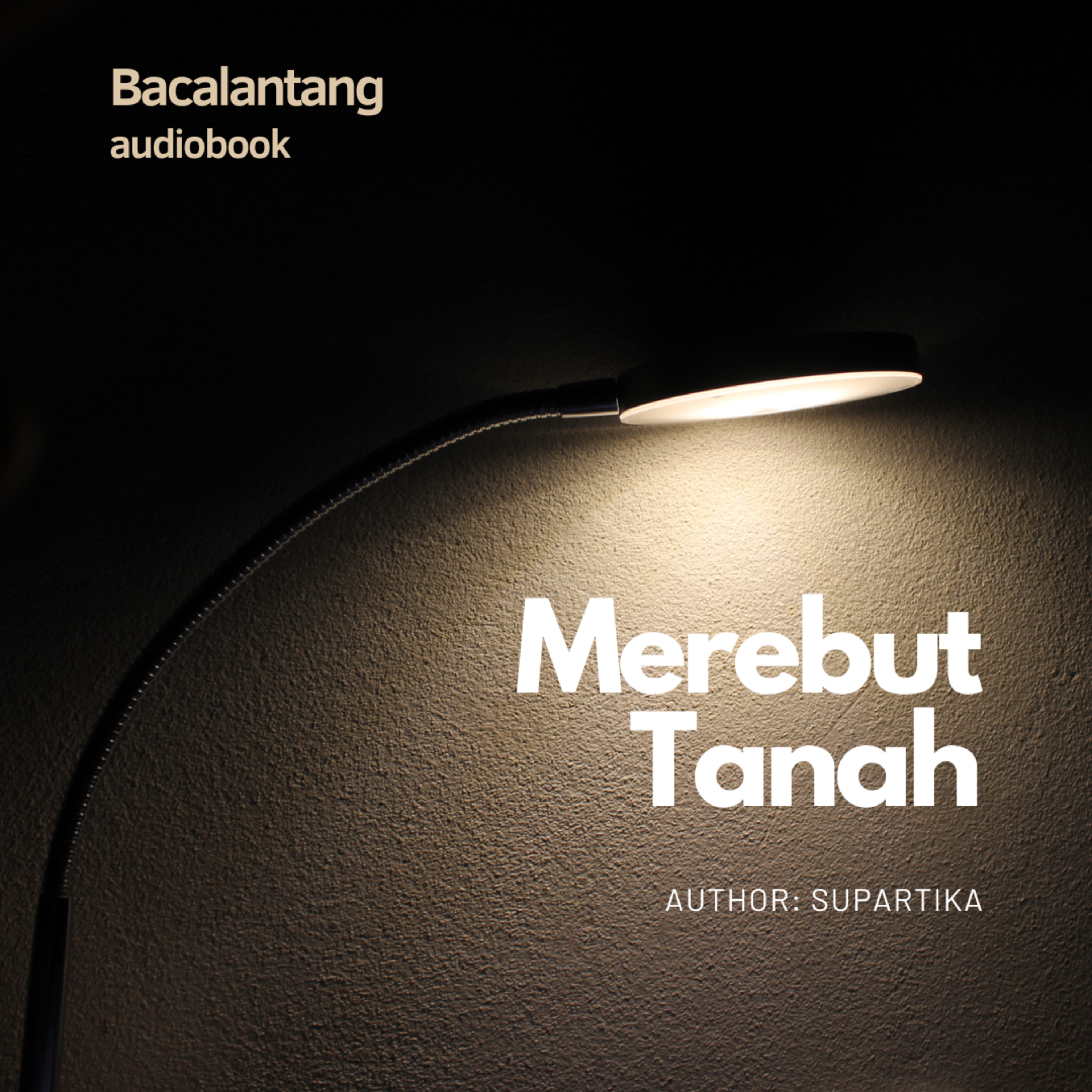 Cerita Pendek #5 : Merebut Tanah - Supartika | Audiobook Indonesia episode artwork