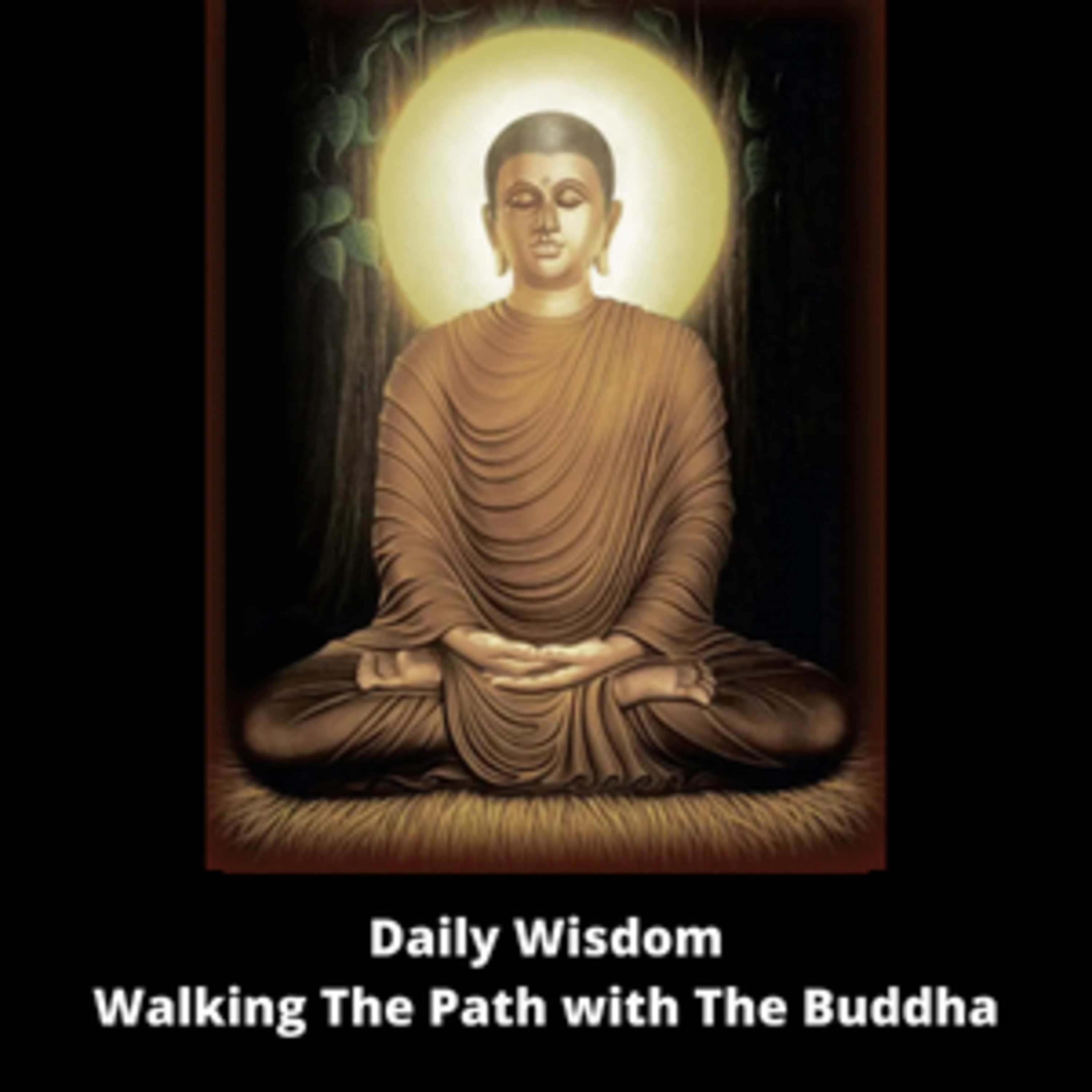 Ep. 719 - (Pali Canon Study Group) - Walking The Path with The Buddha - Volume 2 - (Chapter 31-40)