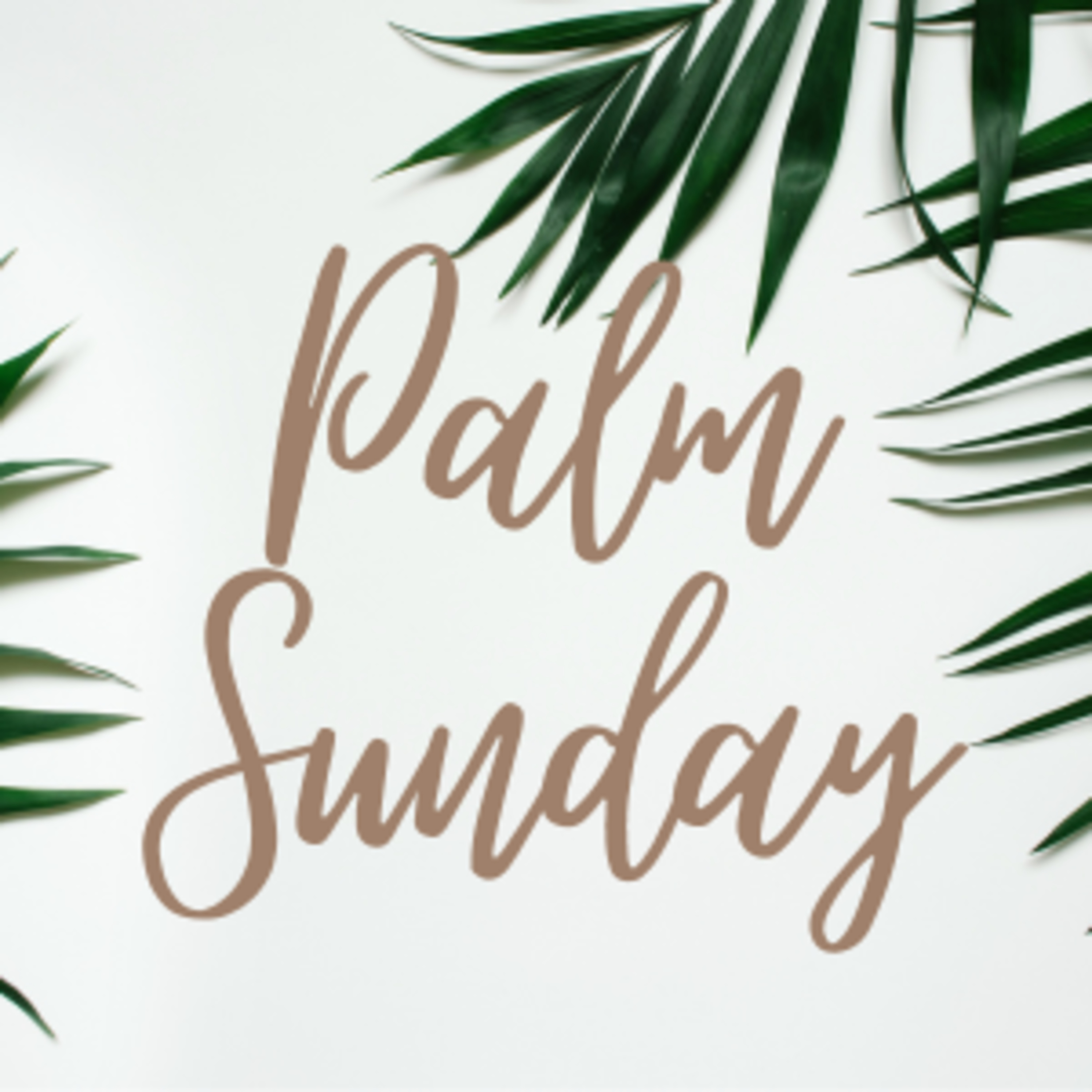 Palm Sunday episode artwork