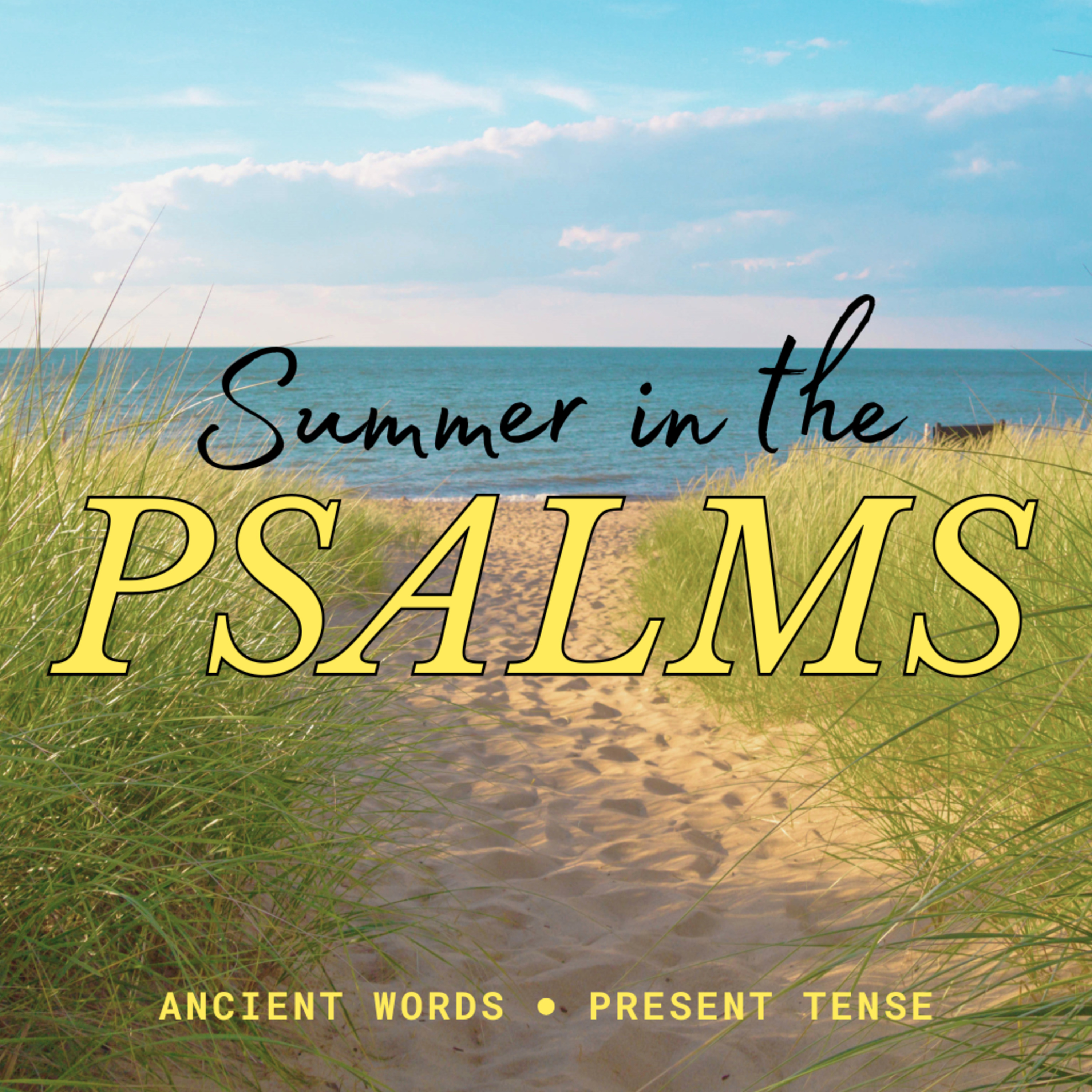 Summer In The Psalms | Week 7 episode artwork