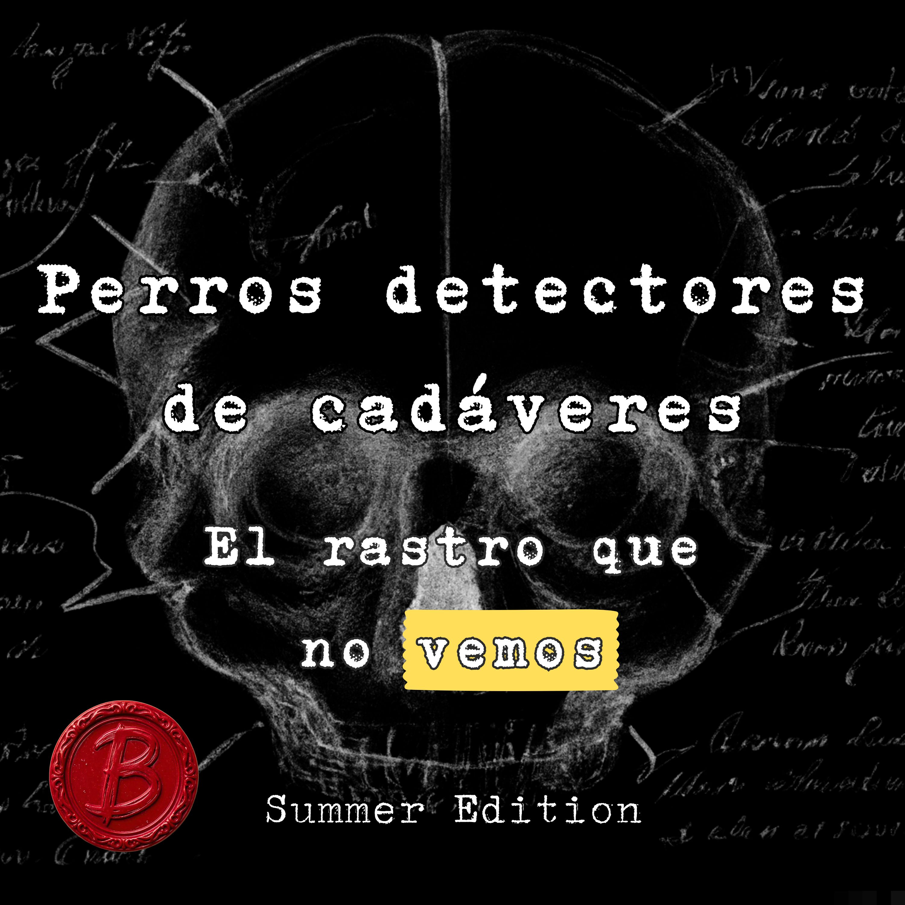 Perros detectores de cadáveres: El rastro que no vemos