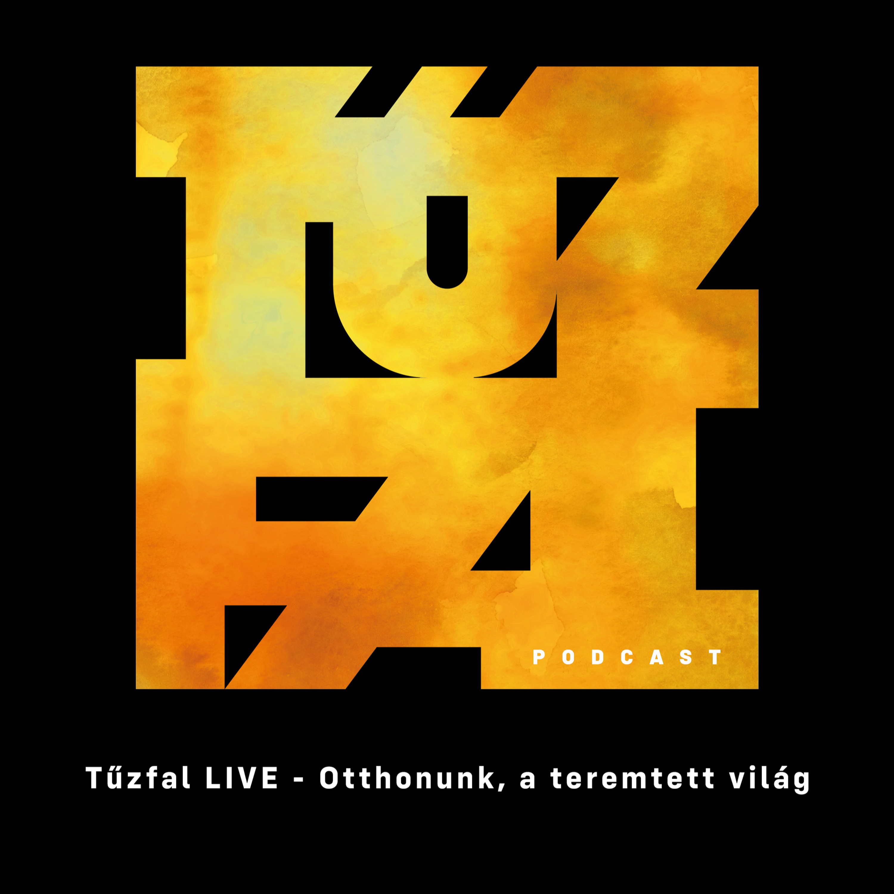 Tűzfal