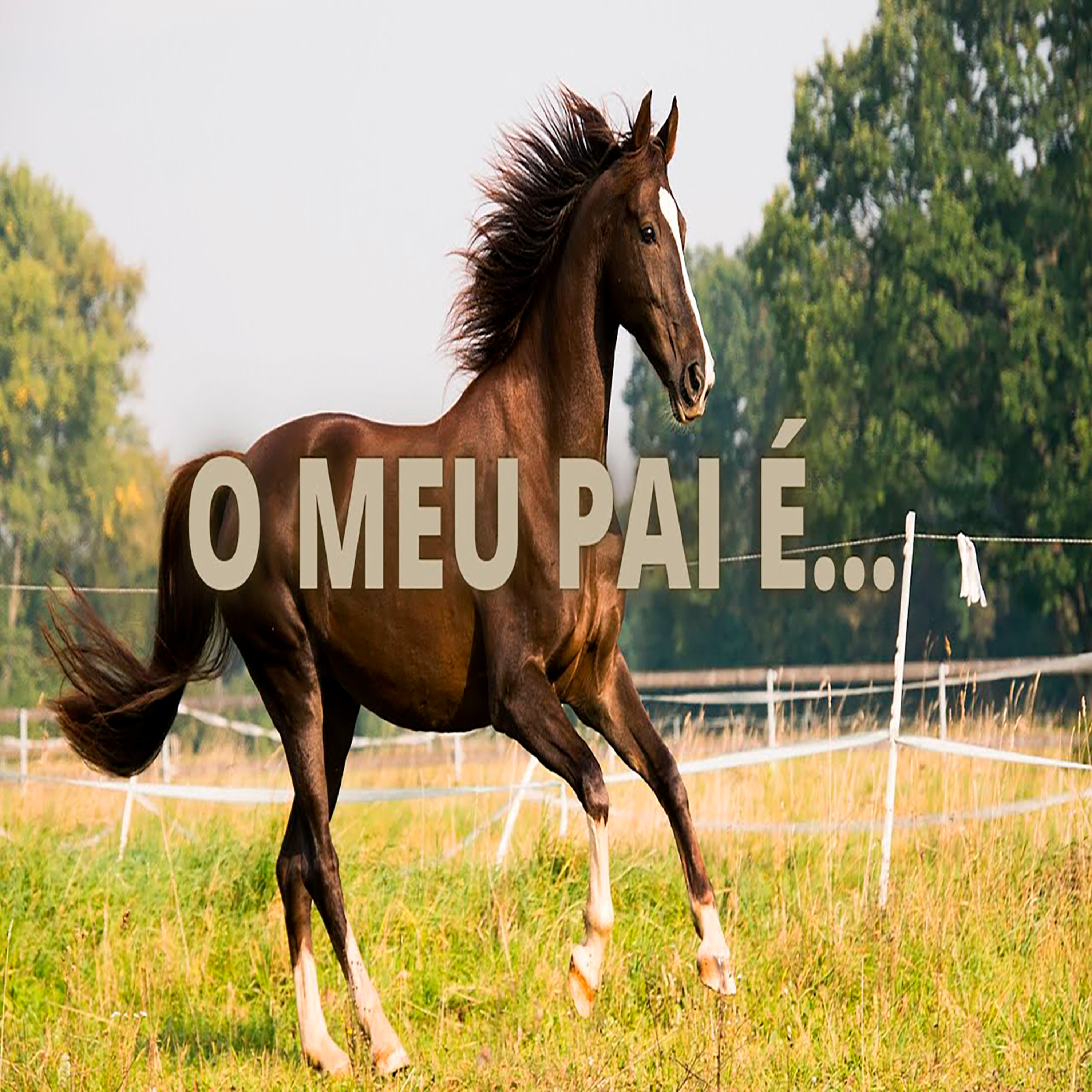 O Meu Pai É - Episódio 476 episode artwork