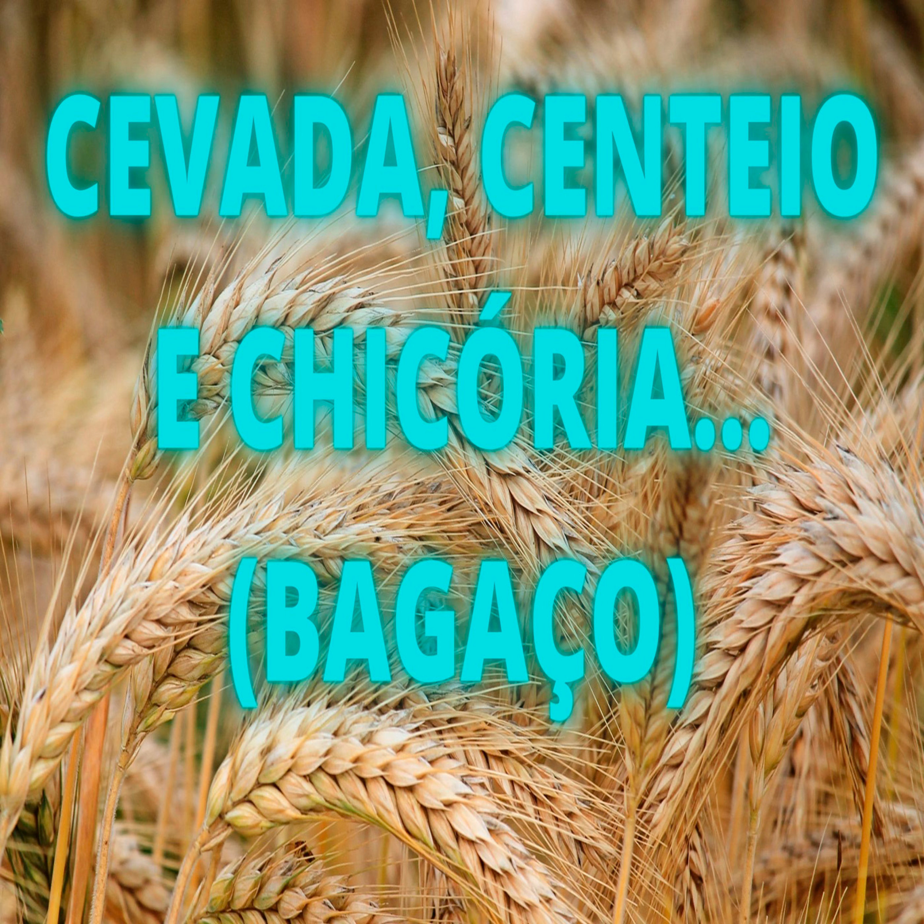 Cevada, Centeio e Chicória...BAGAÇO! - Episódio 495 episode artwork