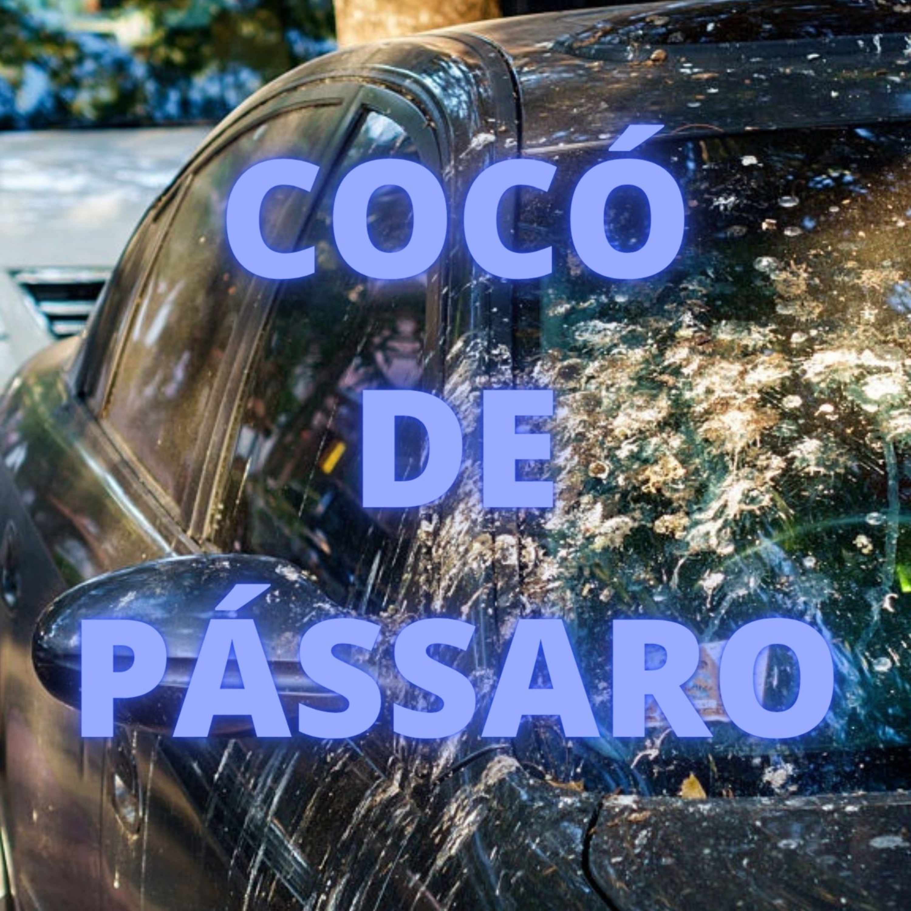 Cocó de Pássaro - Episódio 509 episode artwork