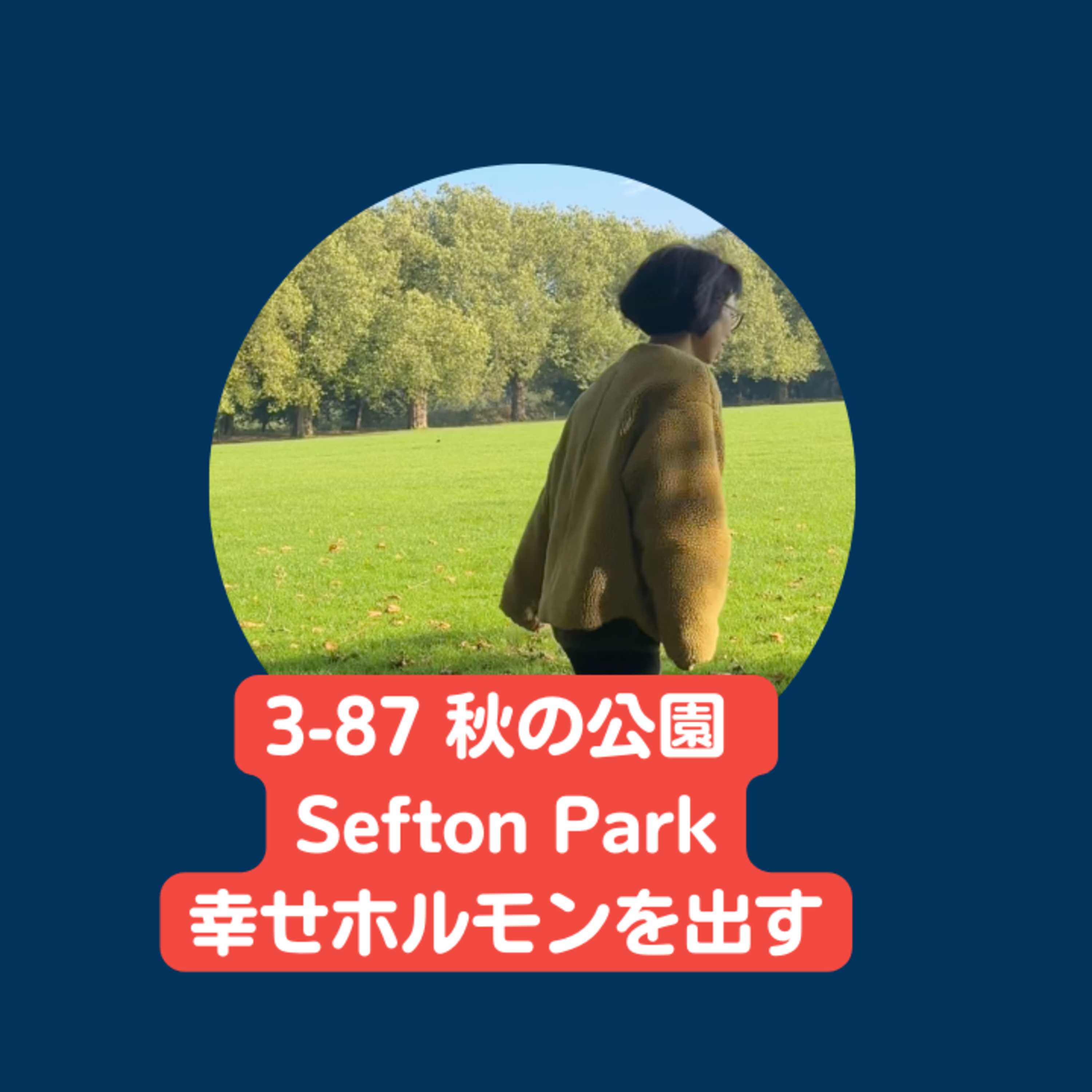 cover of episode Season 3-87 秋の公園 Sefton Parkで幸せホルモンとやる気ホルモンを出す