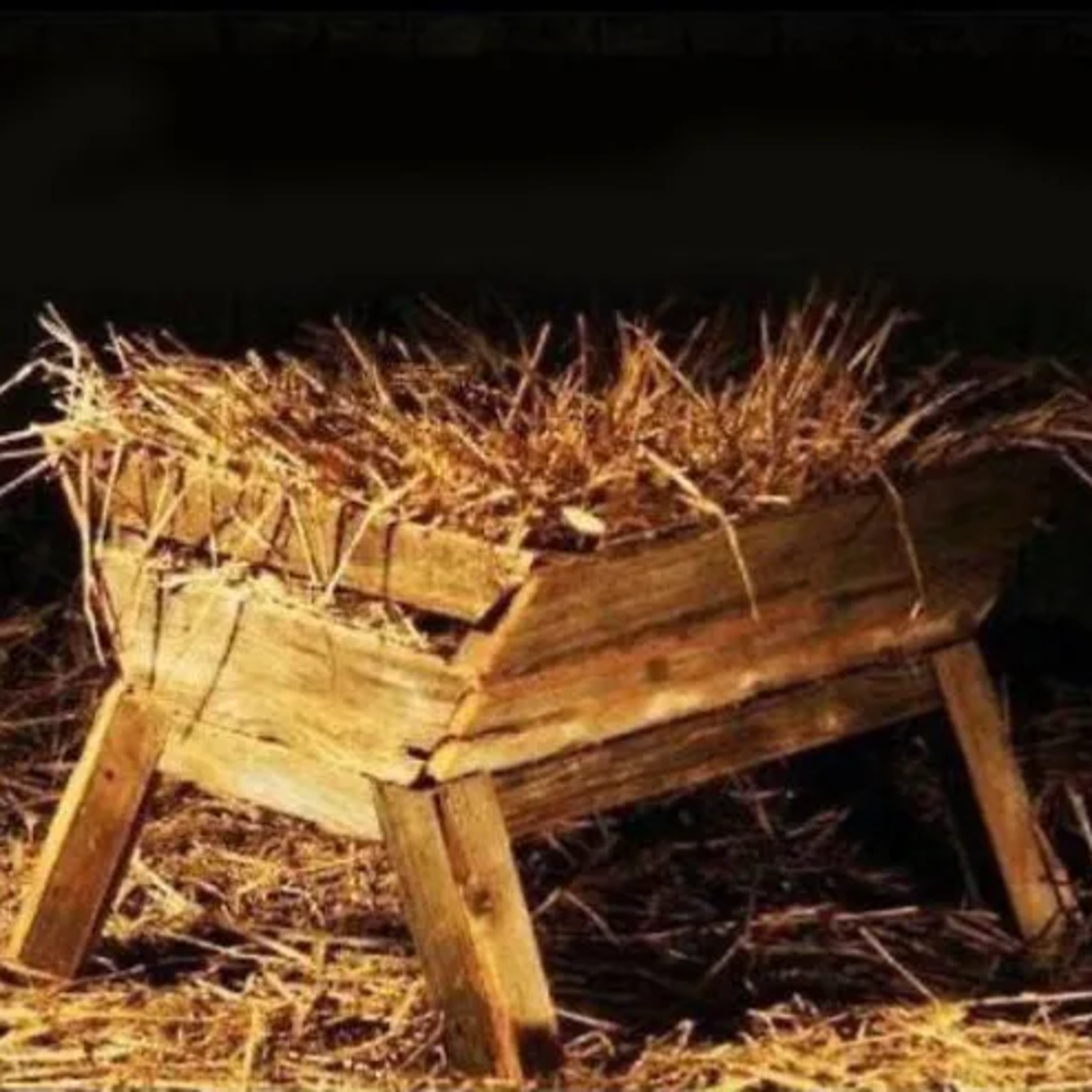 Jesus is Born, Now What? episode artwork