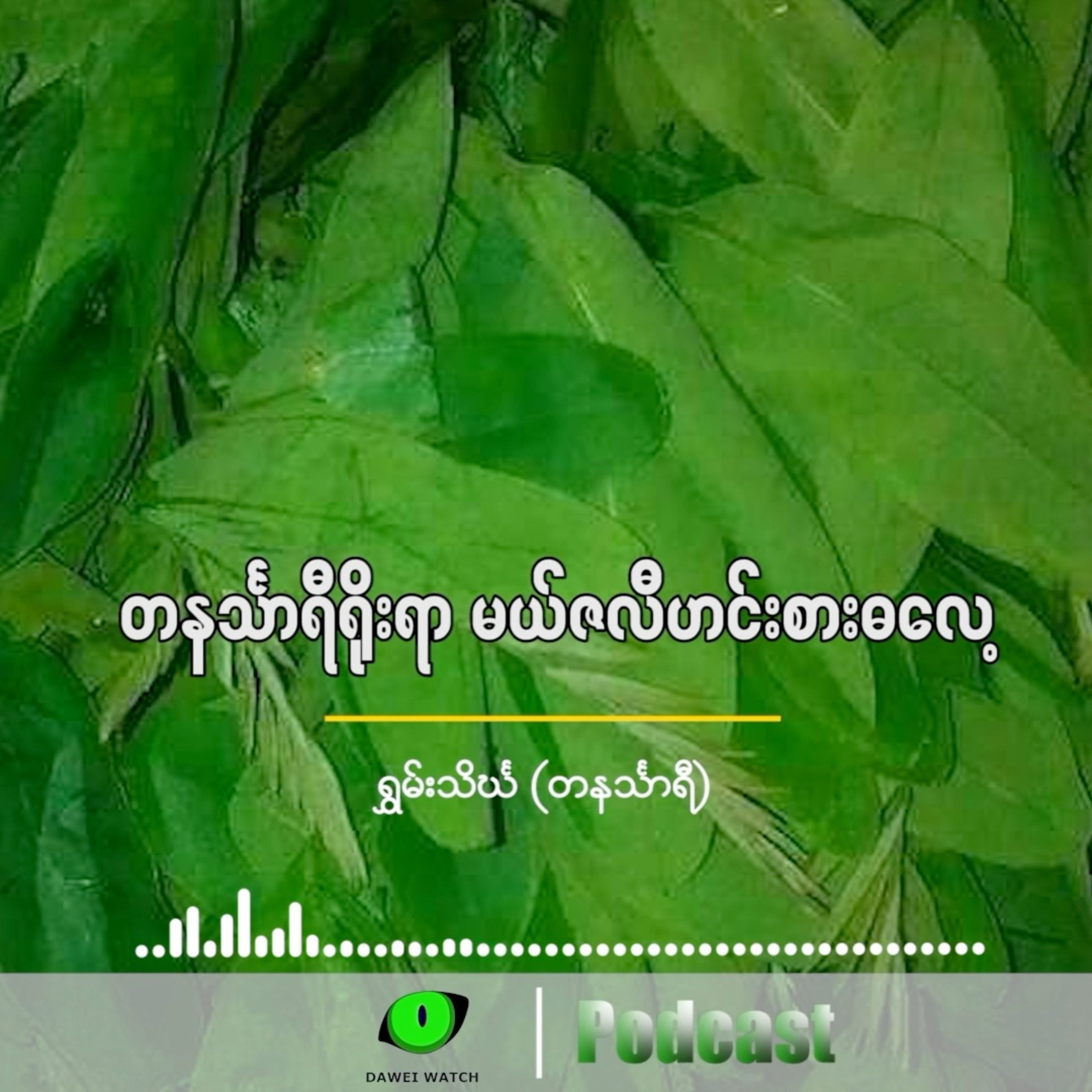 တနင်္သာရီရိုးရာ မယ်ဇလီဟင်းစားဓလေ့ episode artwork