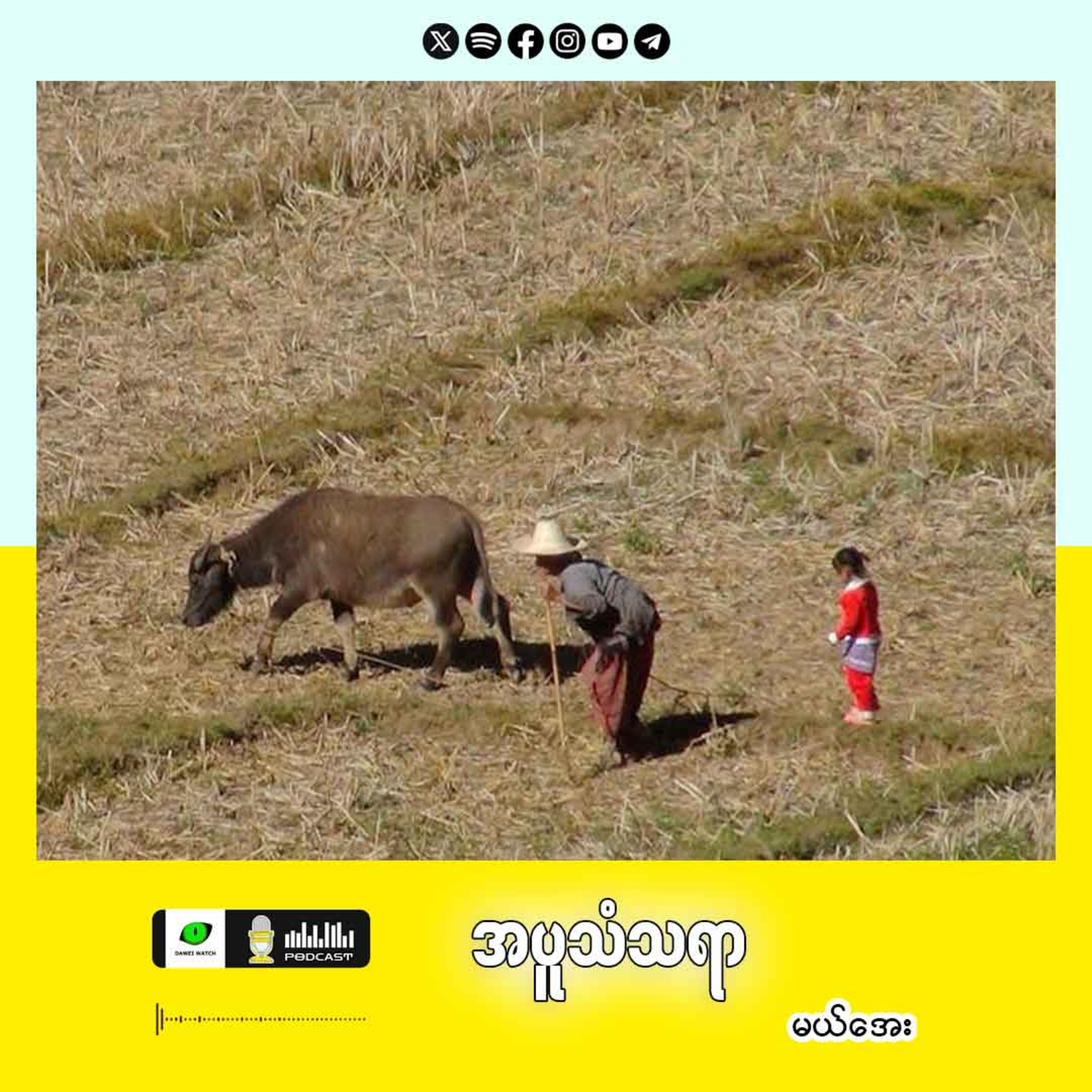 အပူသံသရာ episode artwork