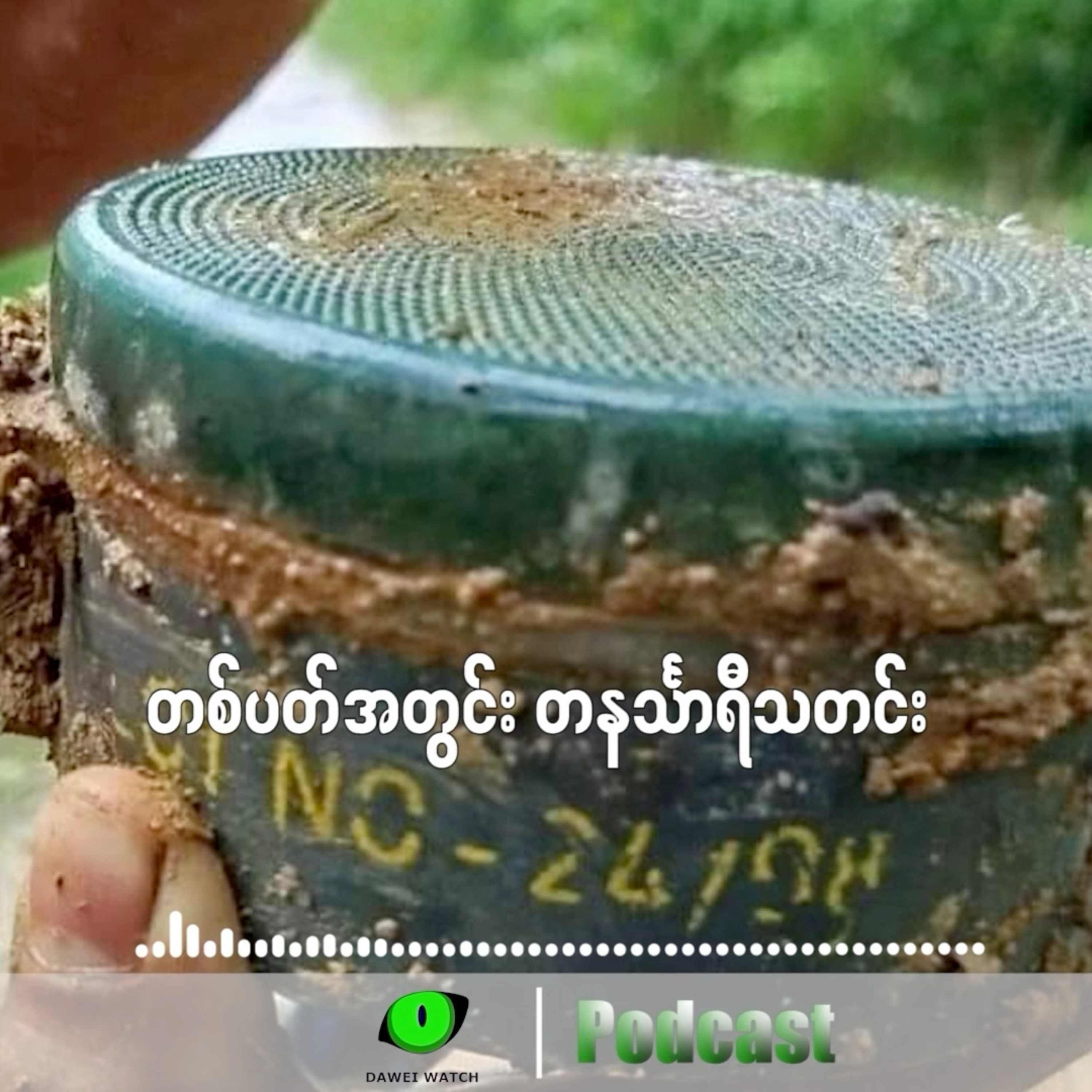 တစ်ပတ်အတွင်း တနင်္သာရီသတင်း (ဇူလိုင်လ ၂၈ ရက်ကနေ ဩဂုတ်လ ၃ ရက်နေ့အထိ) episode artwork