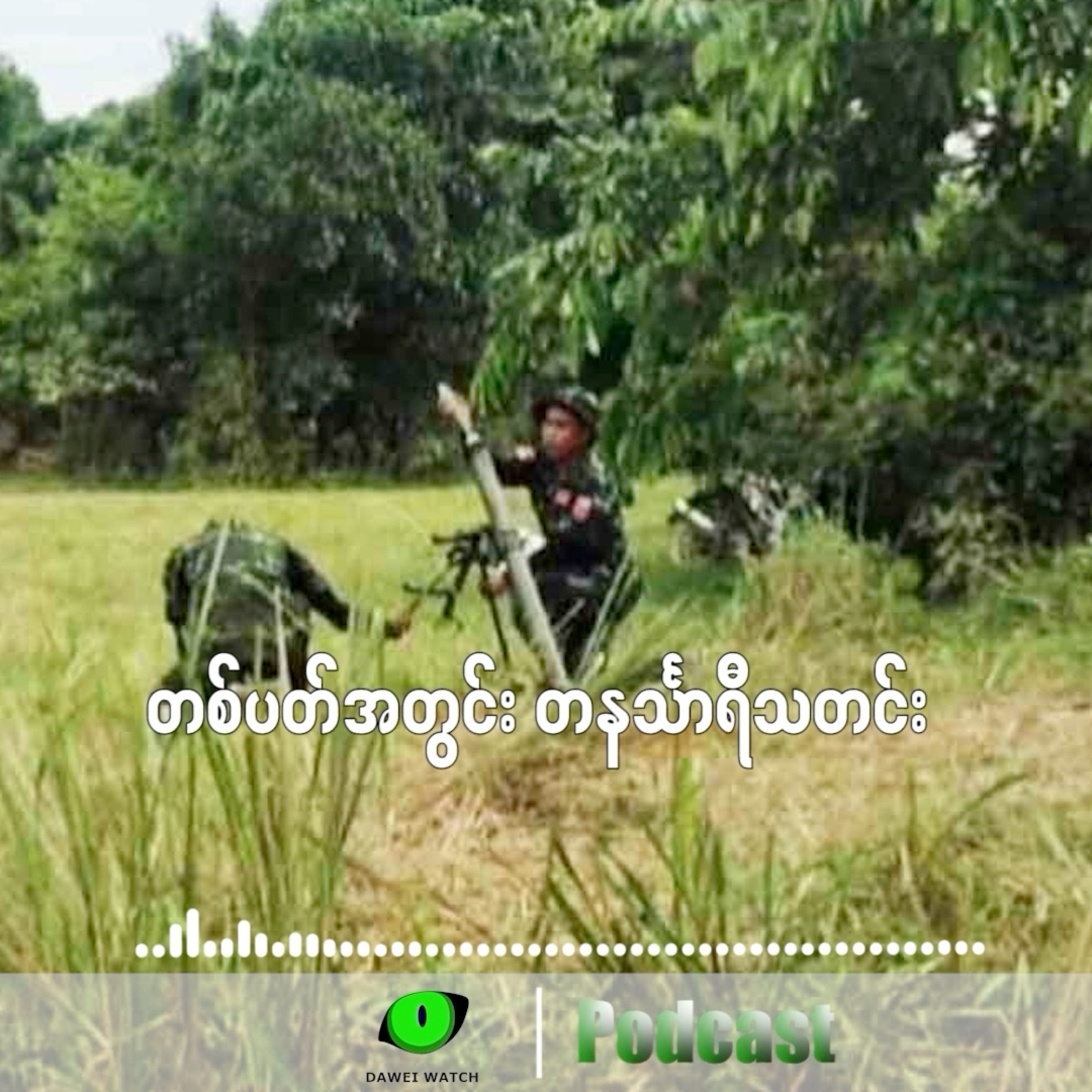 တစ်ပတ်အတွင်း တနင်္သာရီသတင်း (စက်တင်ဘာလ ၈ ရက်ကနေ ၁၄ ရက်နေ့အထိ) episode artwork