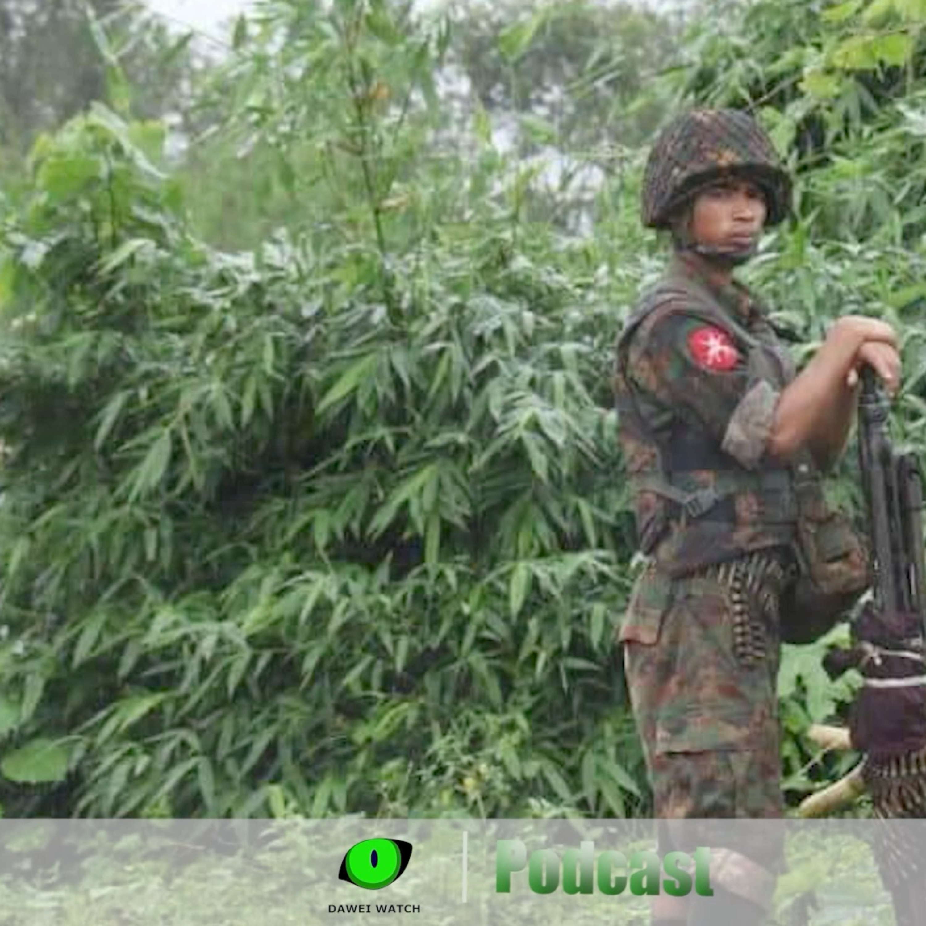 အောက်တိုဘာလ ၂၉ ရက် တနင်္သာရီနေ့စဉ်သတင်း အစီအစဉ် episode artwork