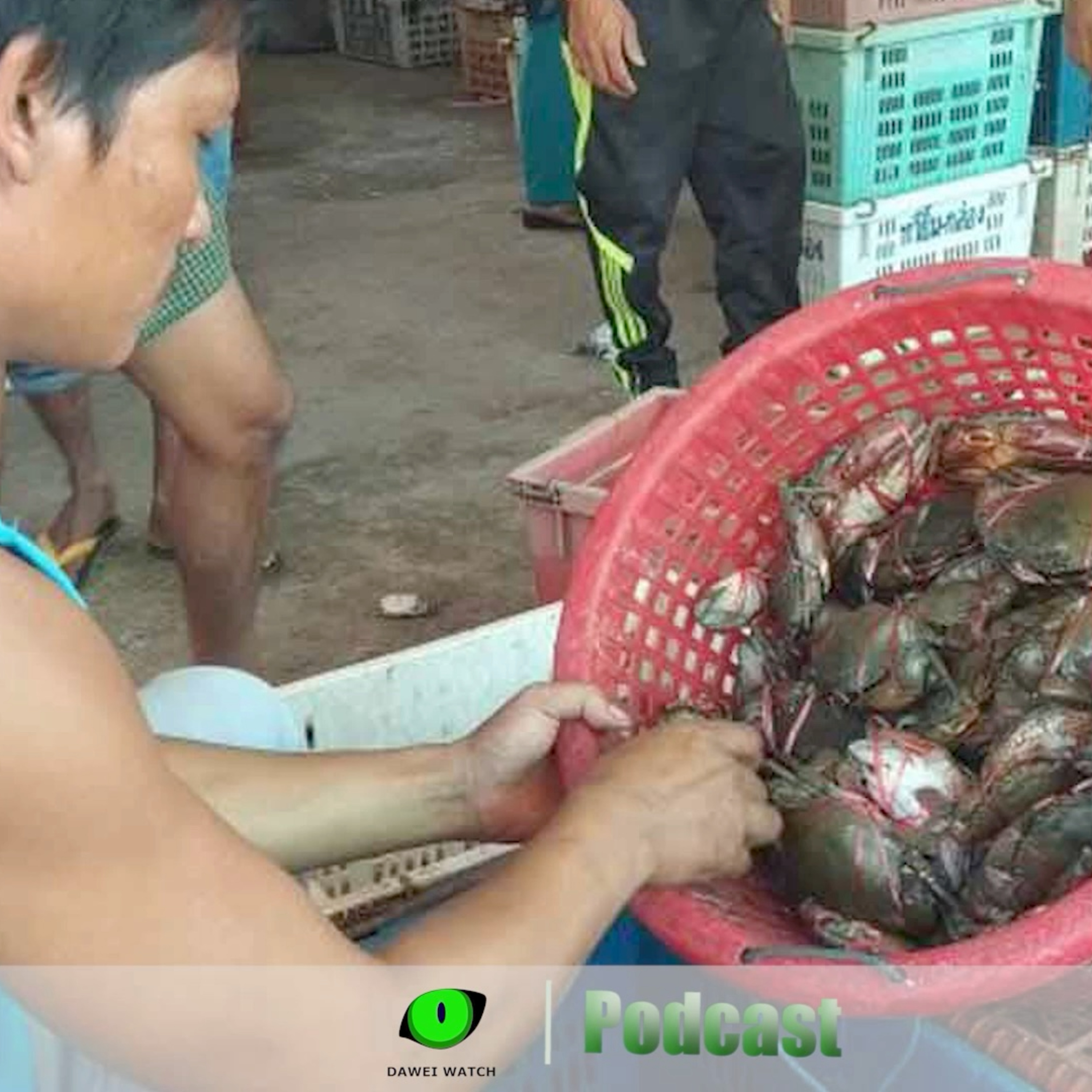 နိုဝင်ဘာလ ၇ ရက် တနင်္သာရီနေ့စဉ်သတင်း အစီအစဉ် episode artwork