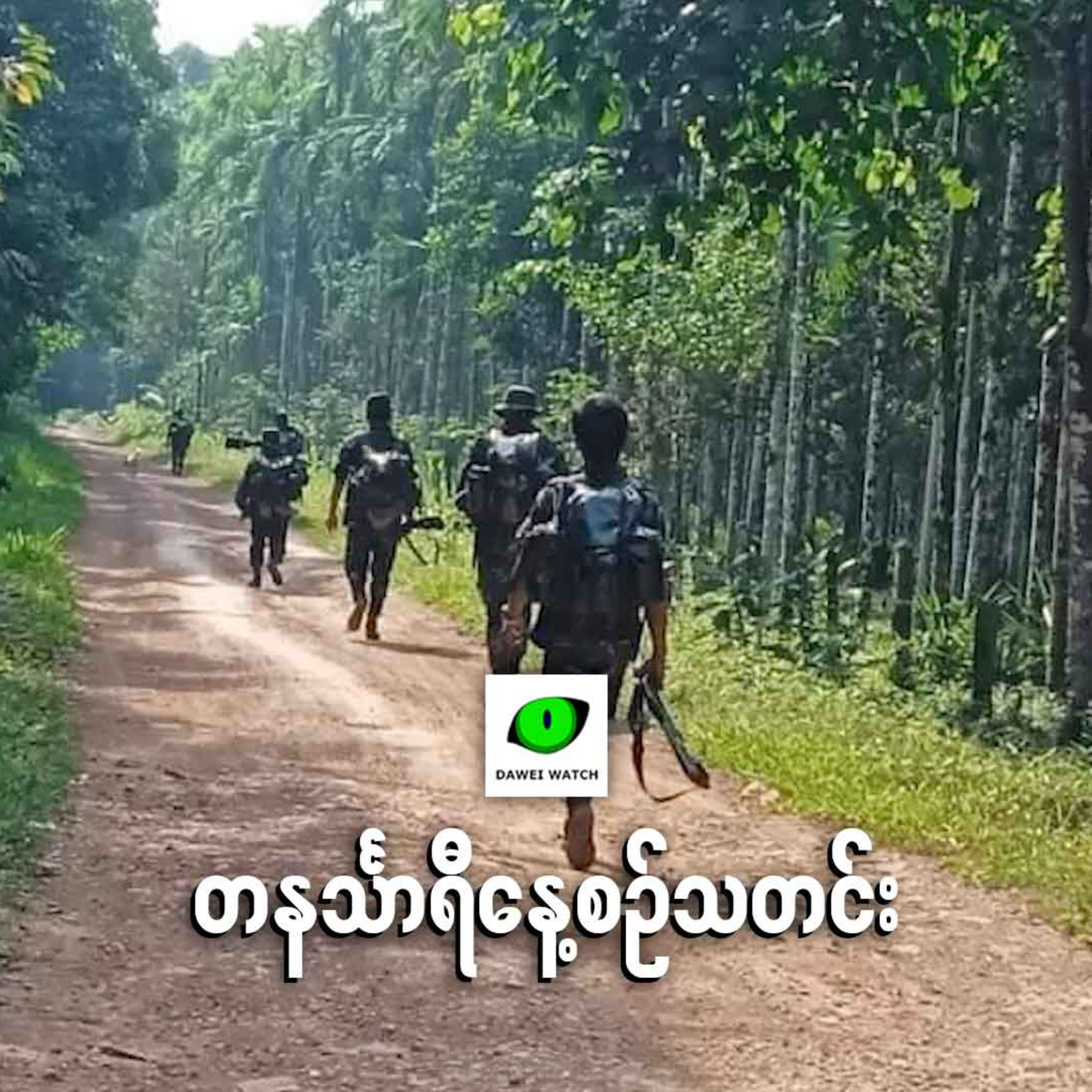 နိုဝင်ဘာလ ၁၄ ရက် တနင်္သာရီနေ့စဉ်သတင်း အစီအစဉ် episode artwork