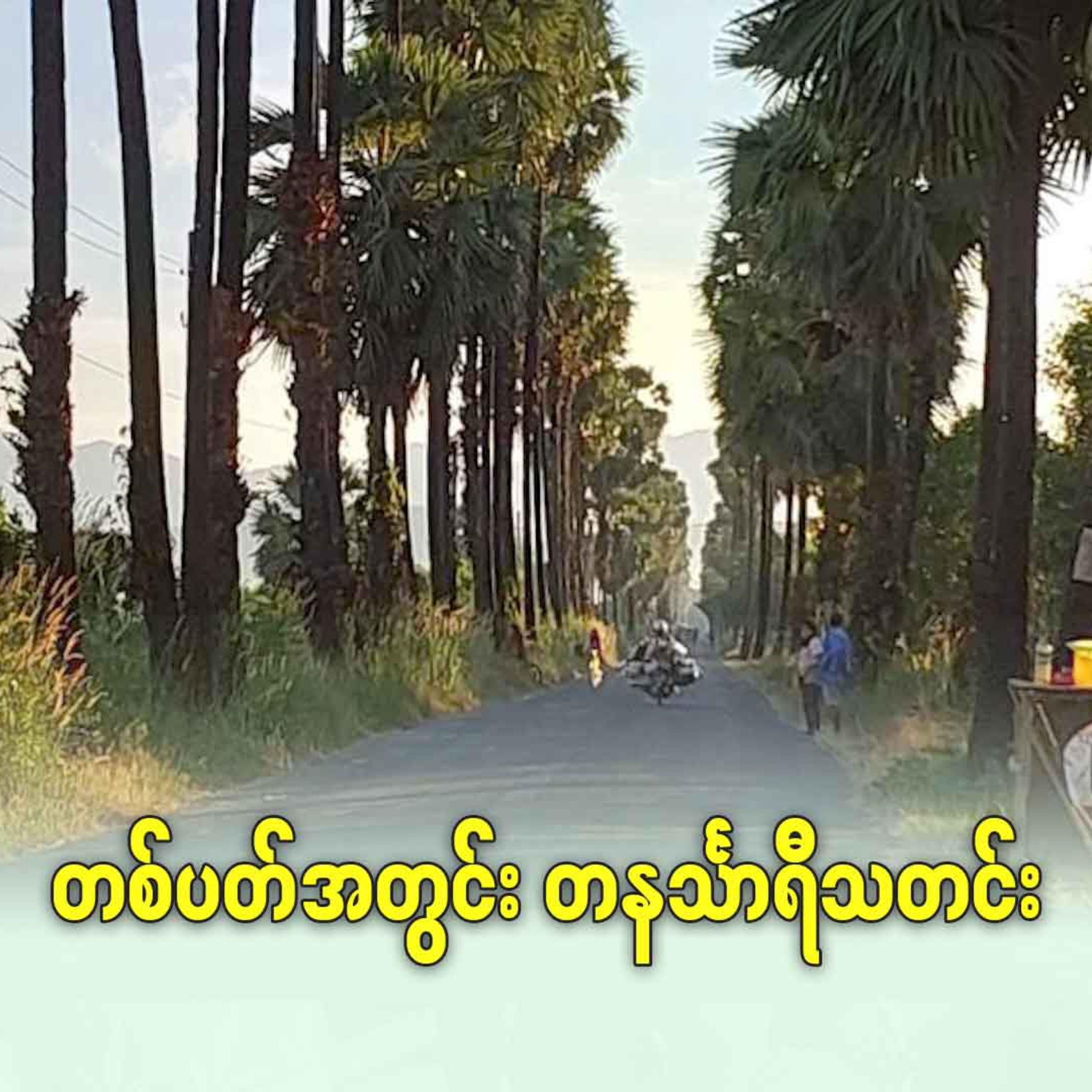 တစ်ပတ်အတွင်း တနင်္သာရီသတင်း episode artwork