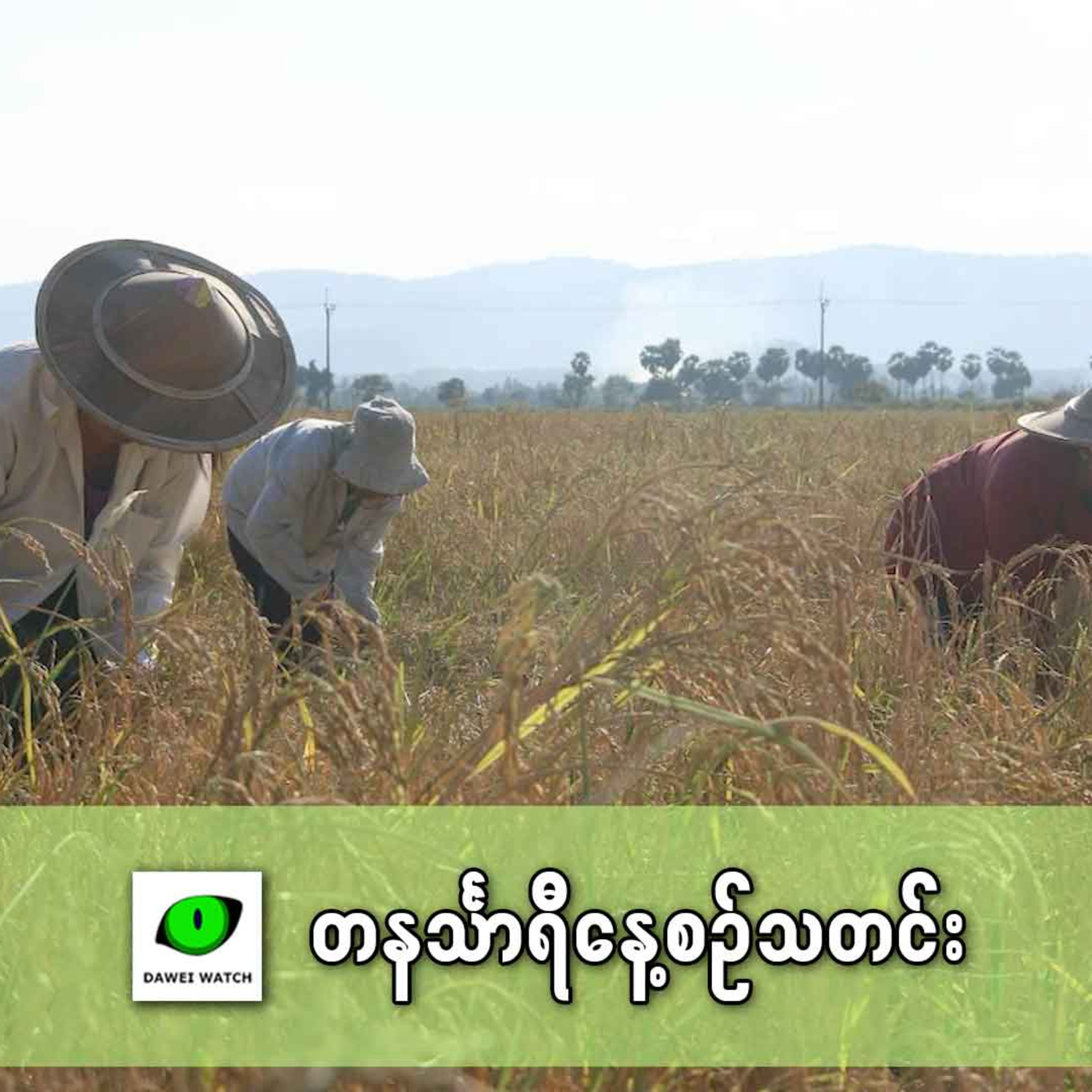 ဒီဇင်ဘာလ ၃ရက် တနင်္သာရီနေ့စဉ်သတင်း အစီအစဉ် episode artwork