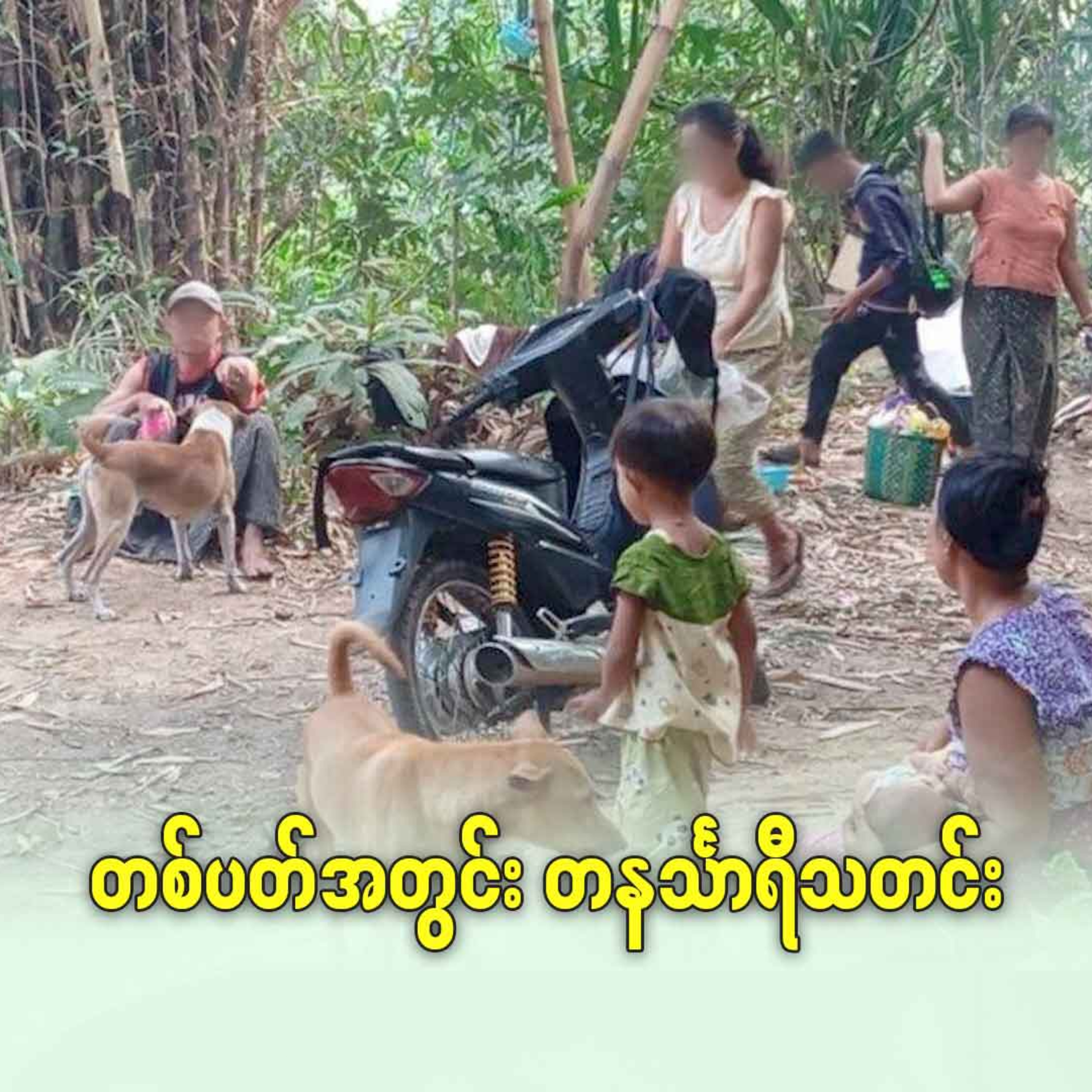 တစ်ပတ်အတွင်း တနင်္သာရီသတင်း episode artwork