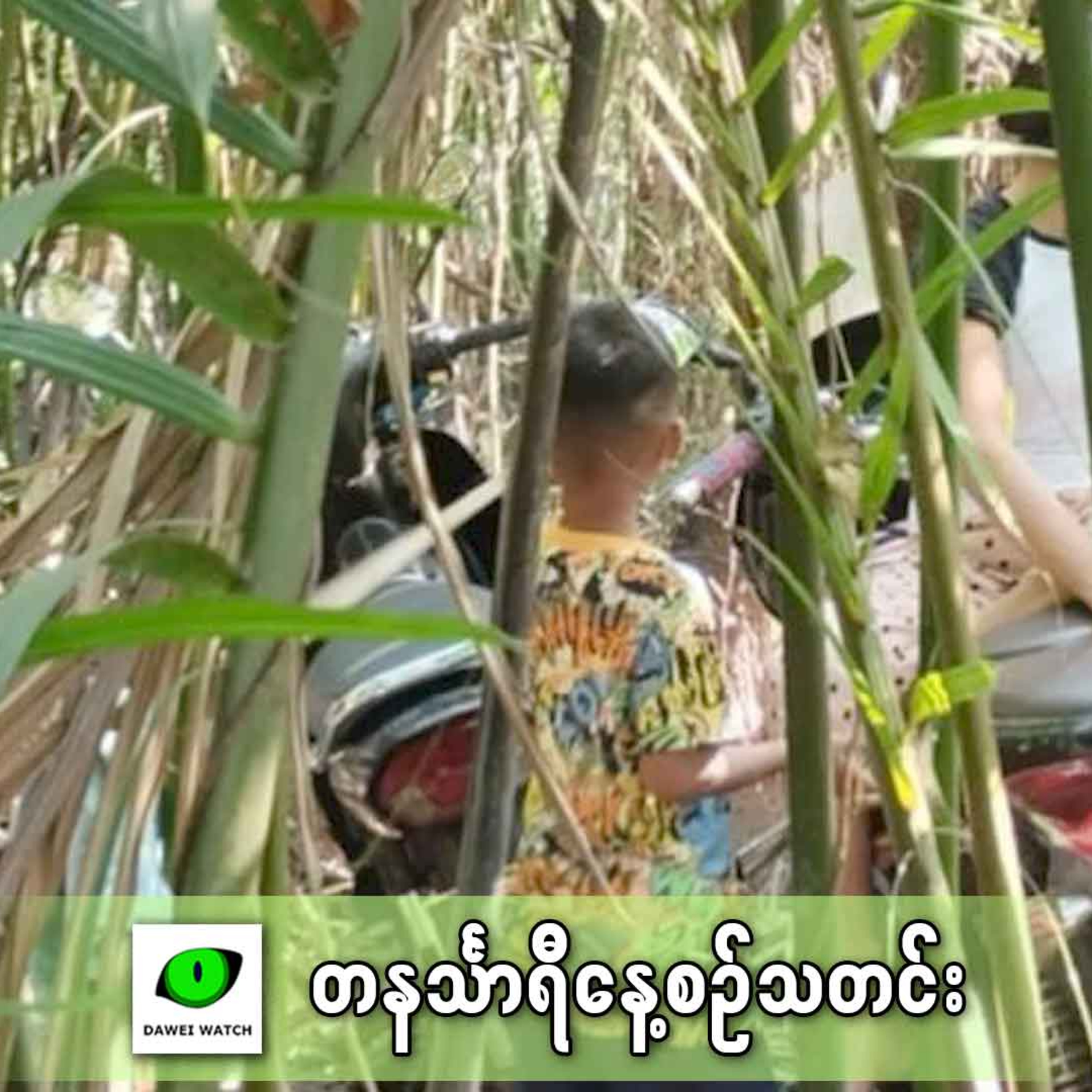 ဇန်နဝါရီလ ၂၉ရက် တနင်္သာရီနေ့စဉ်သတင်း အစီအစဉ် episode artwork