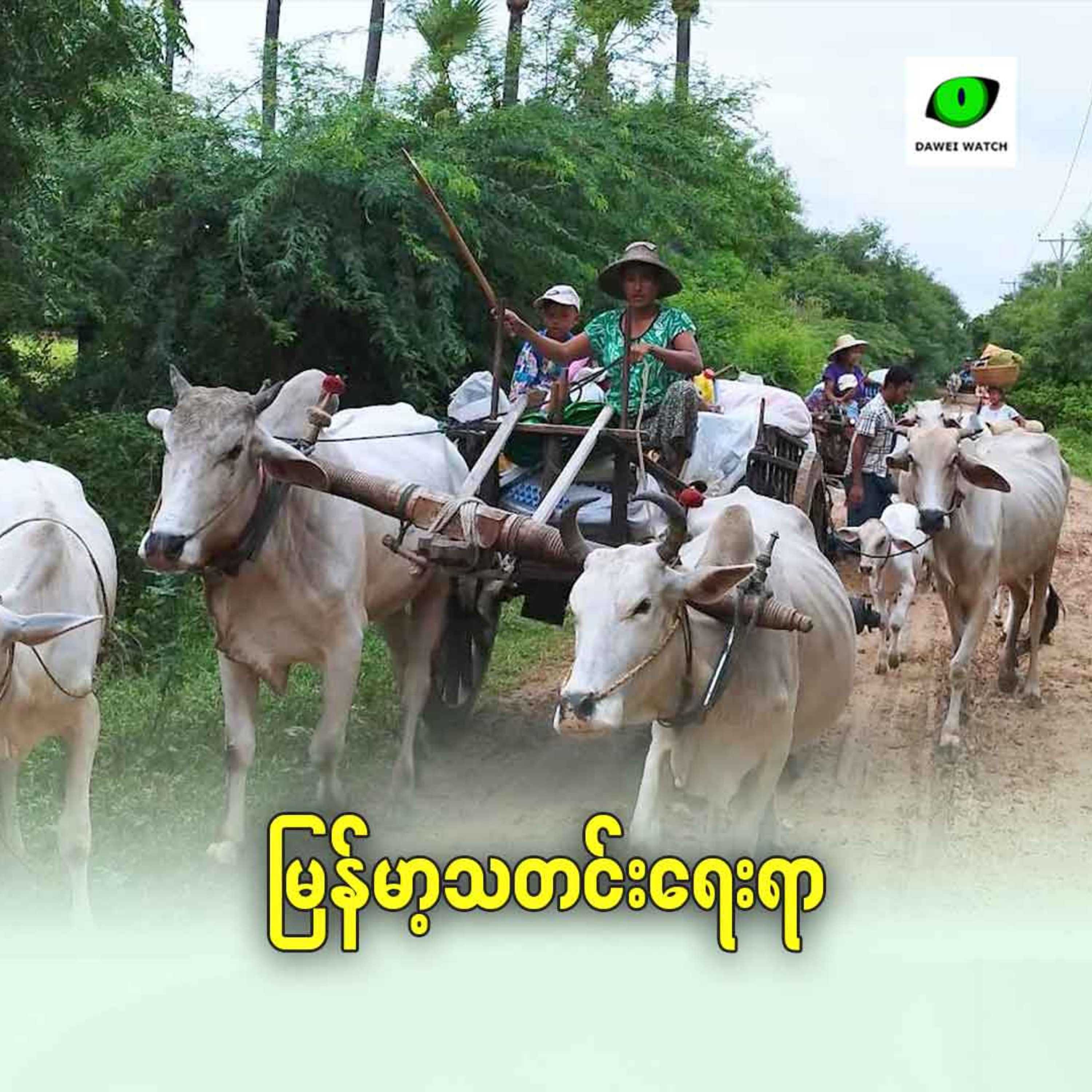 မြန်မာ့ရေးရာ episode artwork